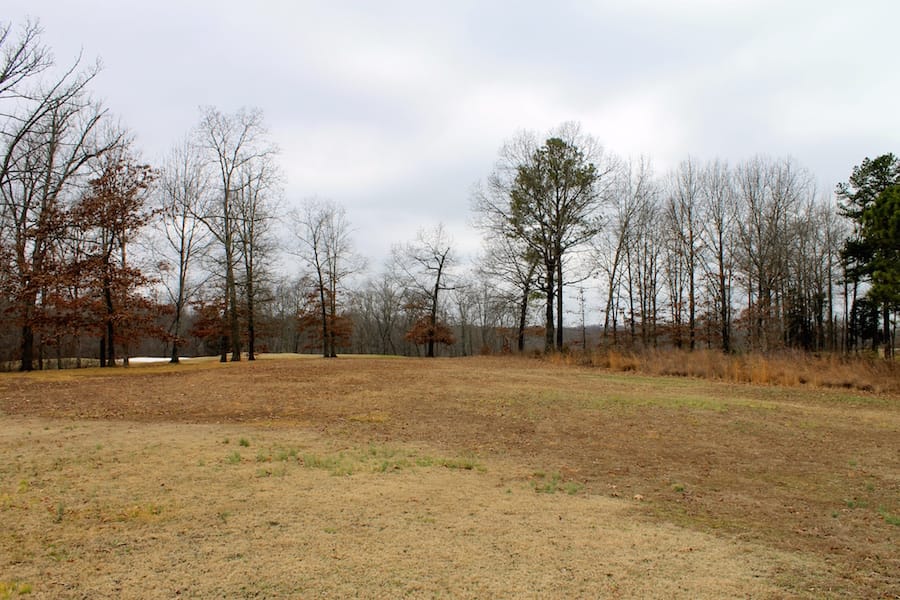 The Tennessean Tract 2 photo 4