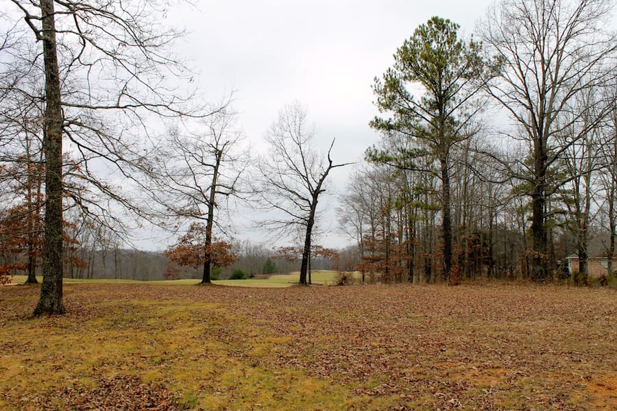 The Tennessean Tract 2 photo 7