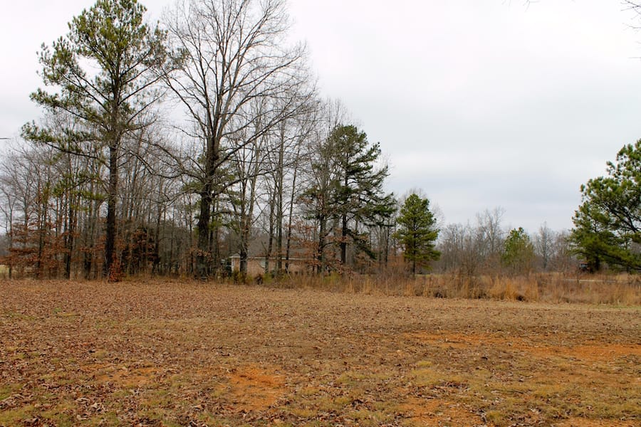 The Tennessean Tract 2 photo 8