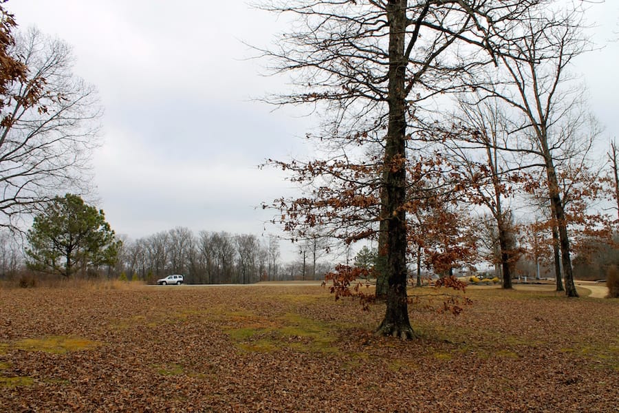 The Tennessean Tract 2 photo 9