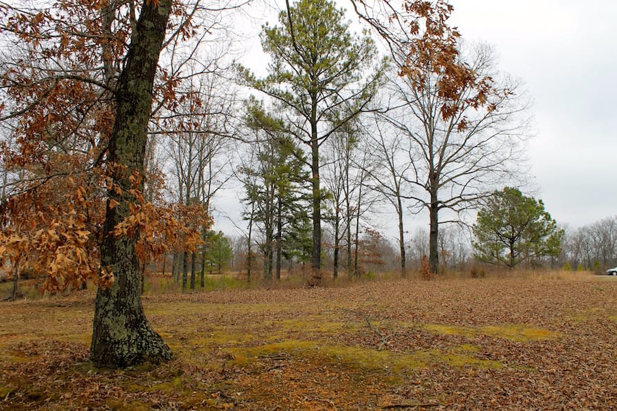 The Tennessean Tract 2 photo 10
