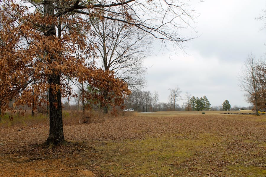 The Tennessean Tract 2 photo 11