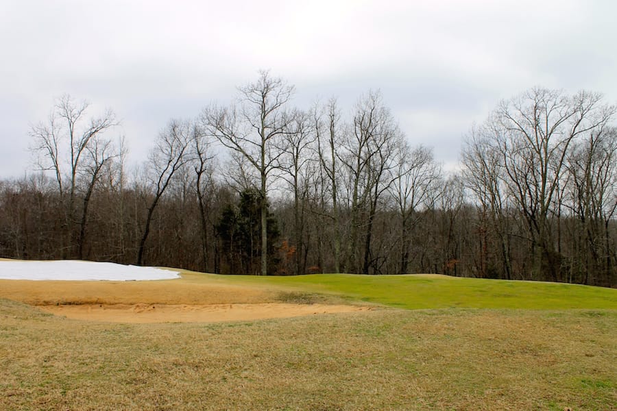 The Tennessean Tract 2 photo 12