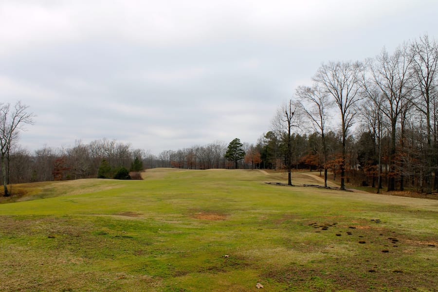 The Tennessean Tract 2 photo 13