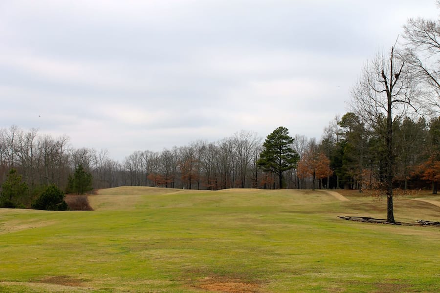 The Tennessean Tract 2 photo 14