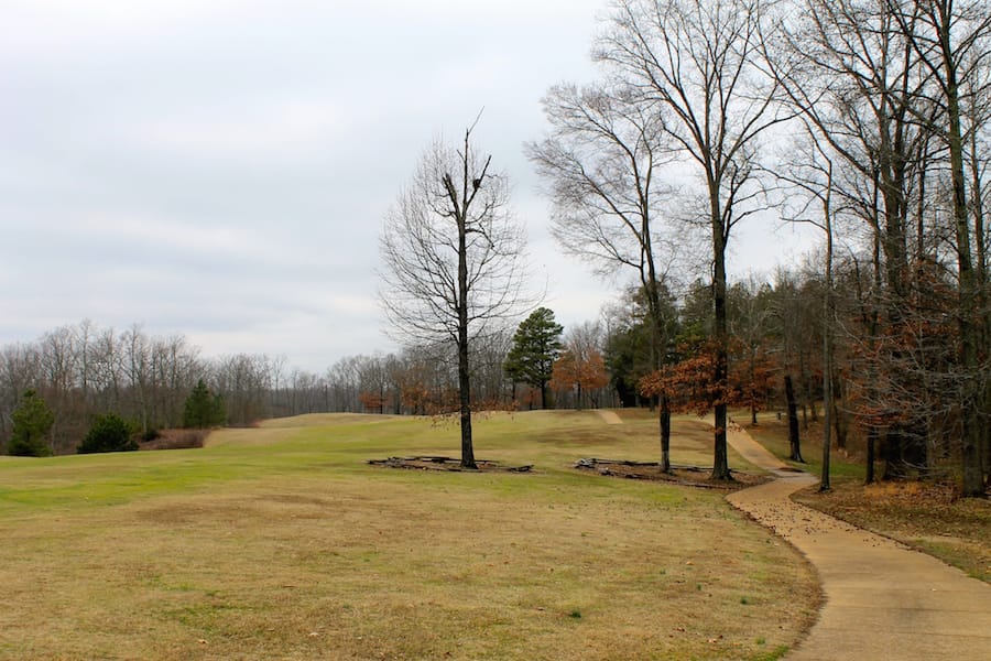 The Tennessean Tract 2 photo 15