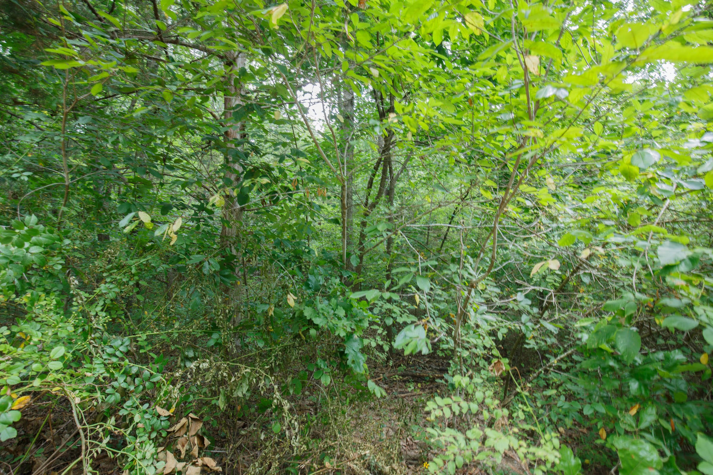 Spring Lake Plat 2 Tract 66 photo 2