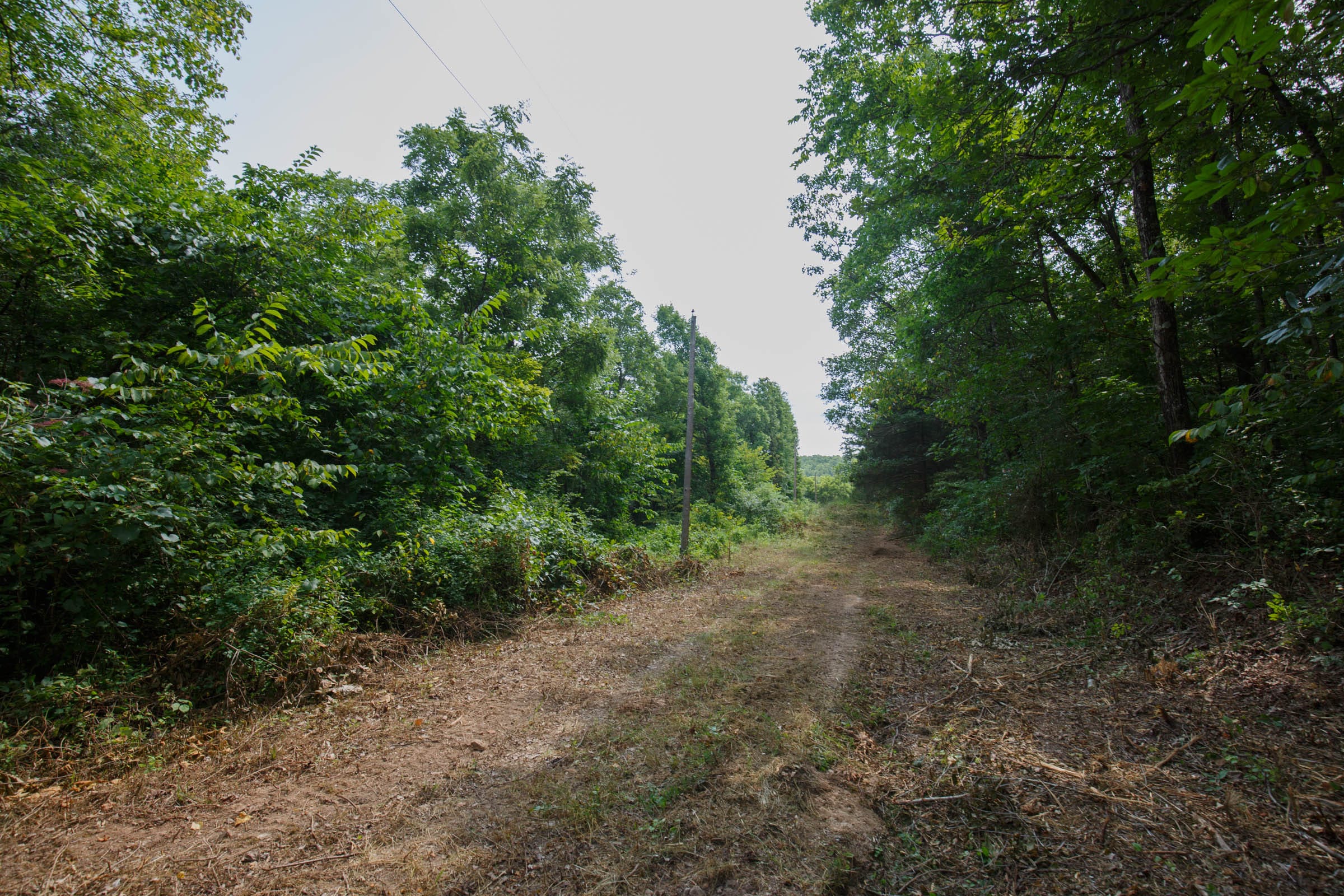 Spring Lake Plat 2 Tract 66 photo 3