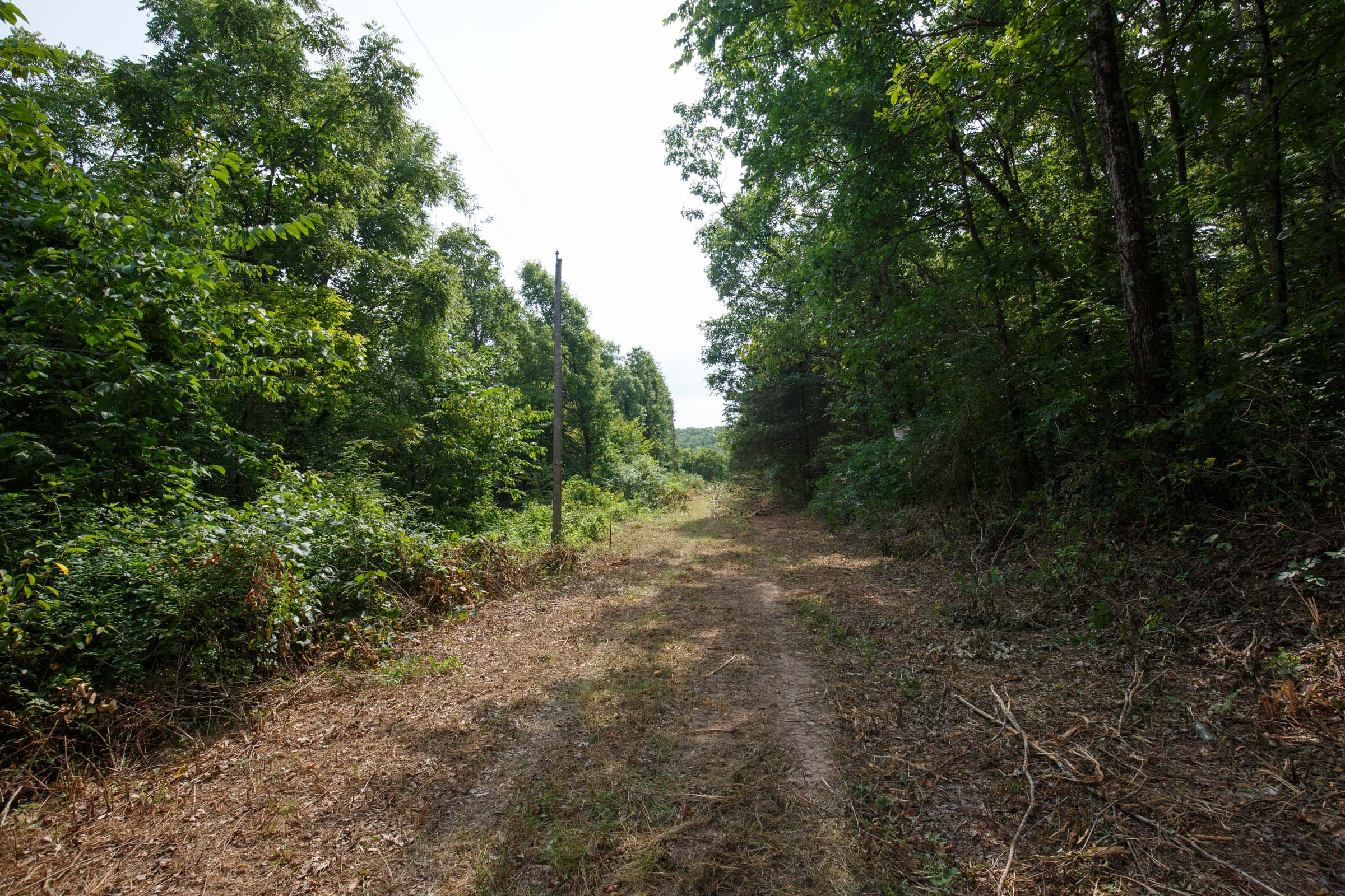Spring Lake Plat 2 Tract 66 photo 5