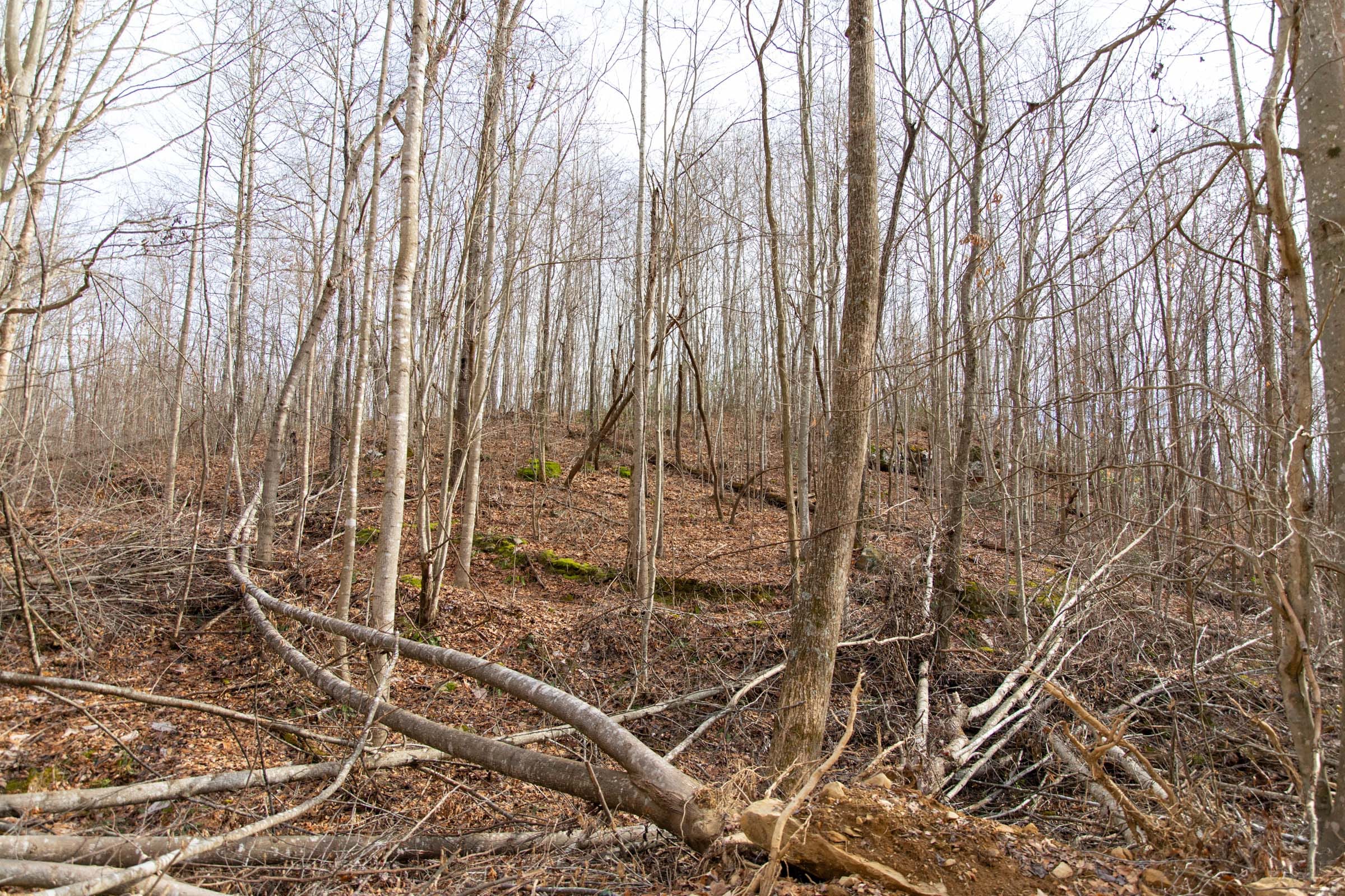 Blackstone Mountain Phase I Tract 26 photo 7