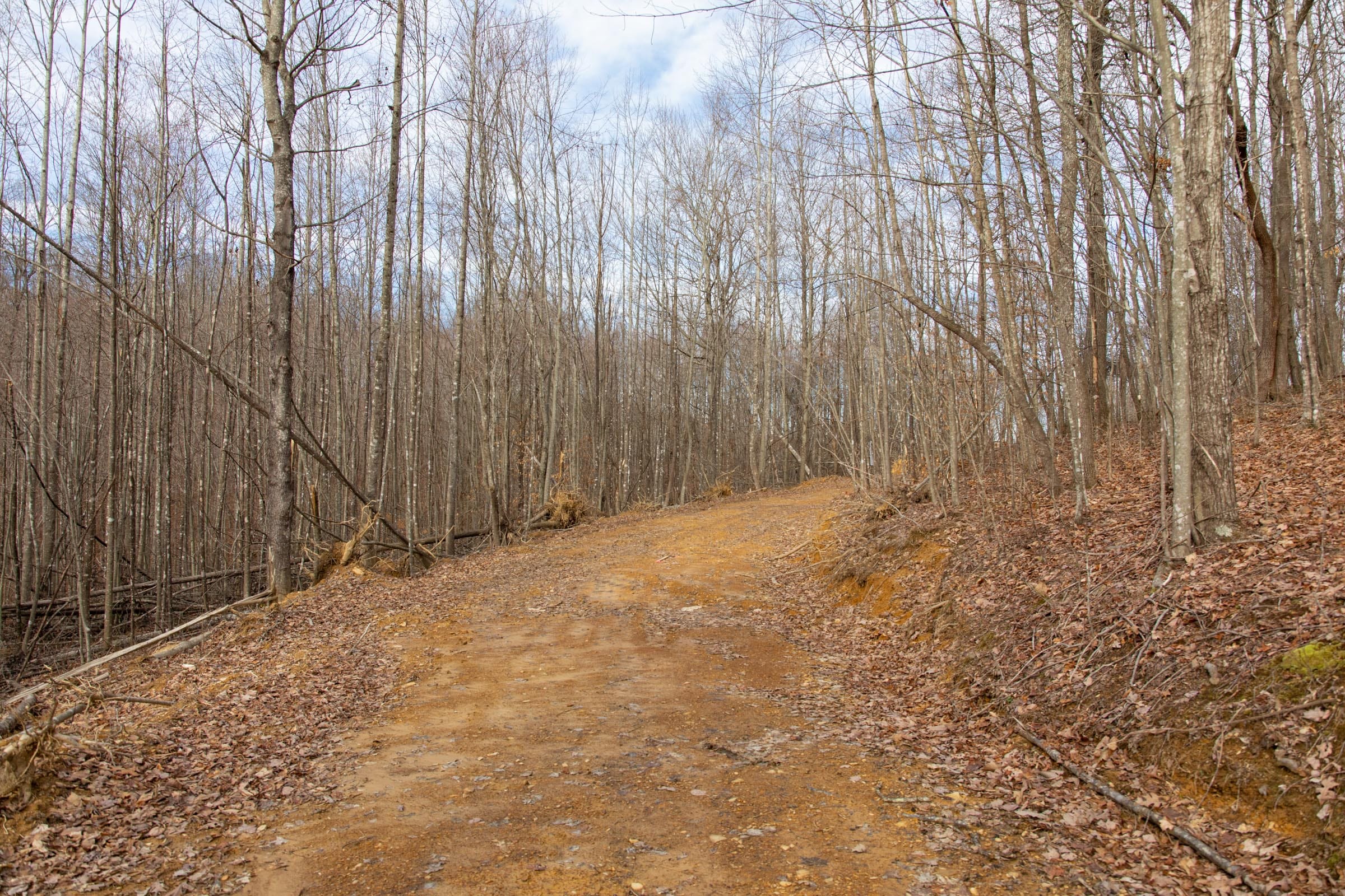Blackstone Mountain Phase I Tract 26 photo 11