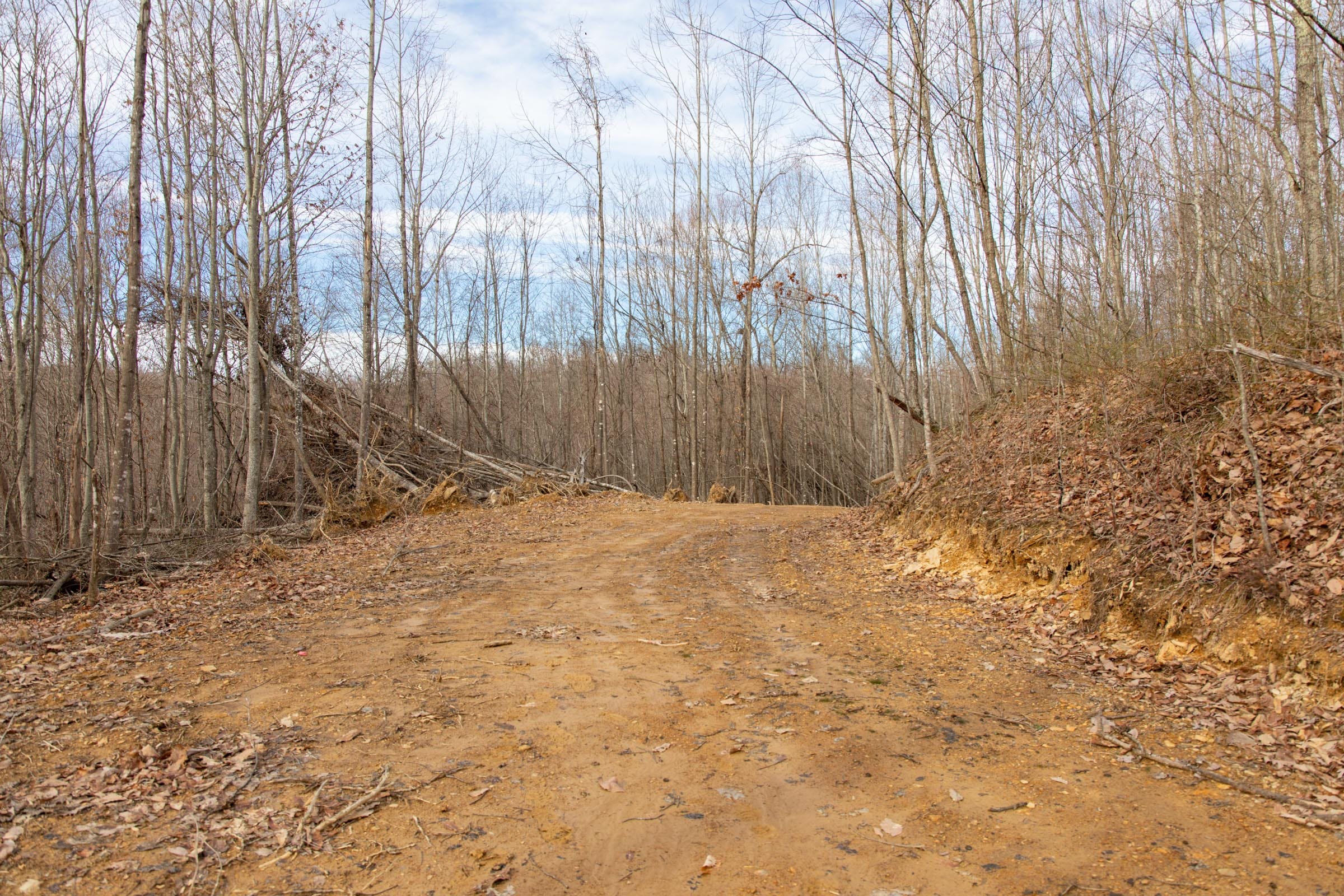 Blackstone Mountain Phase I Tract 26 photo 15