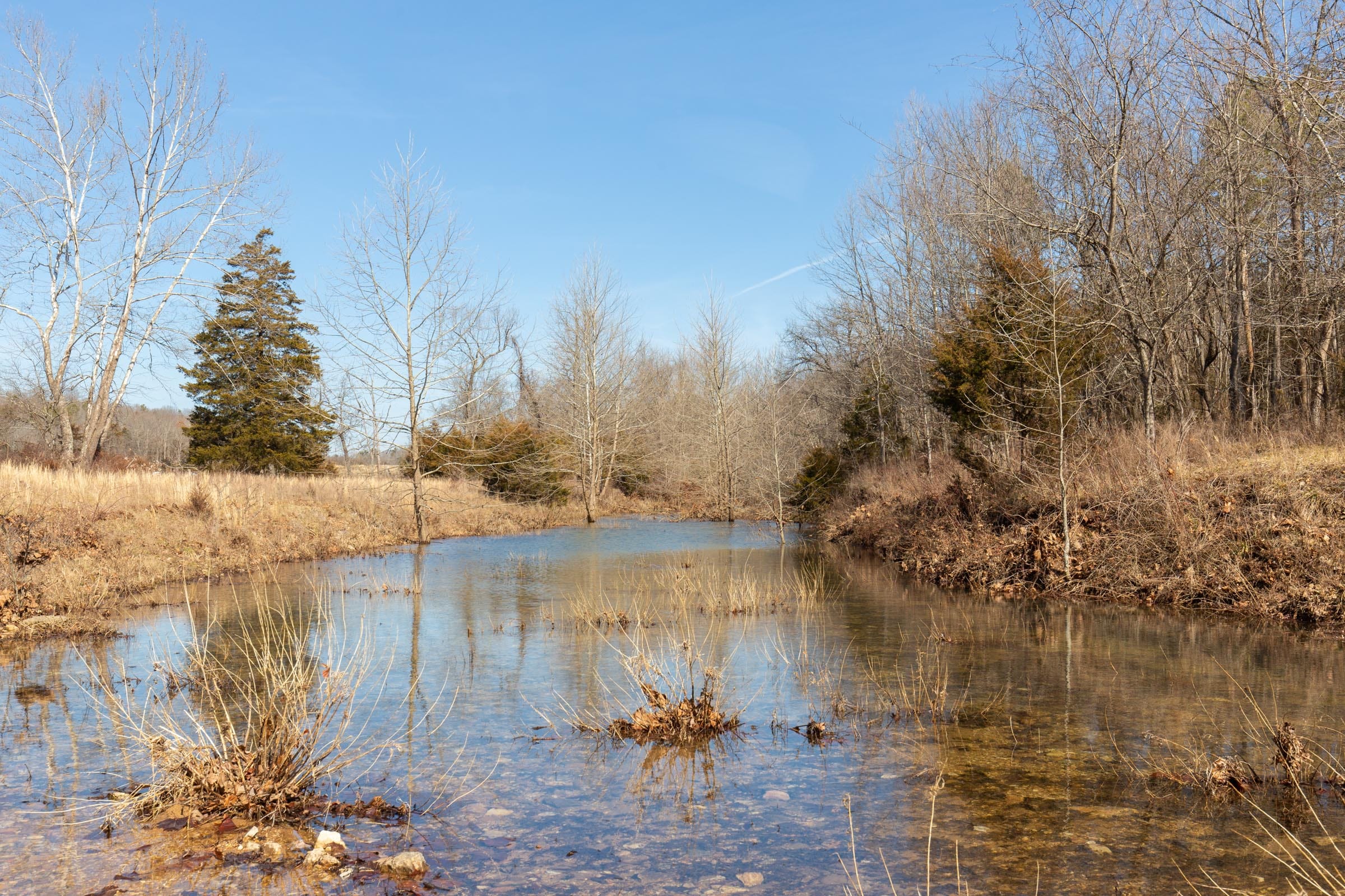 O’Connor Crossing Tract 29 photo 3