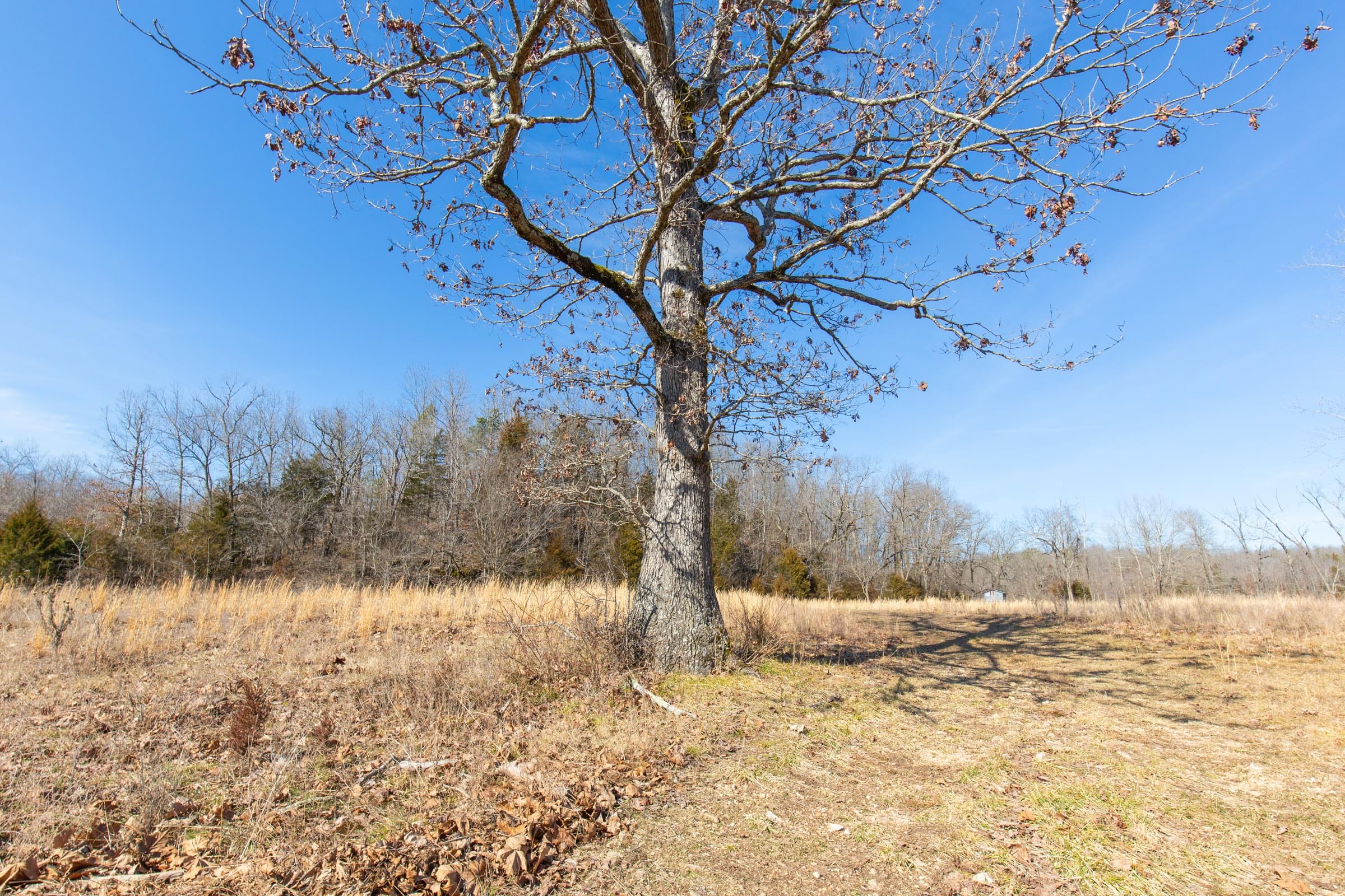 O’Connor Crossing Tract 29 photo 5