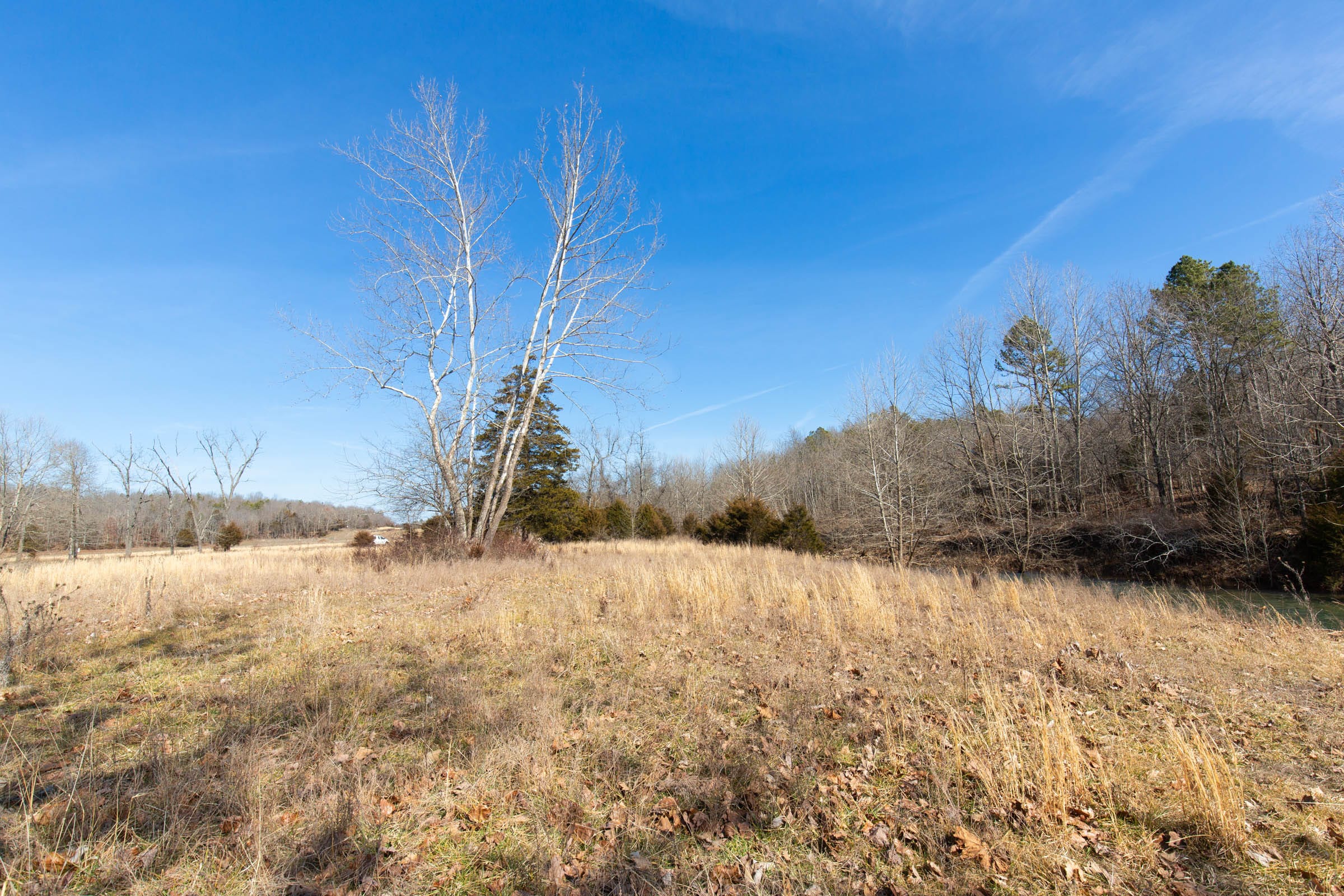 O’Connor Crossing Tract 29 photo 6