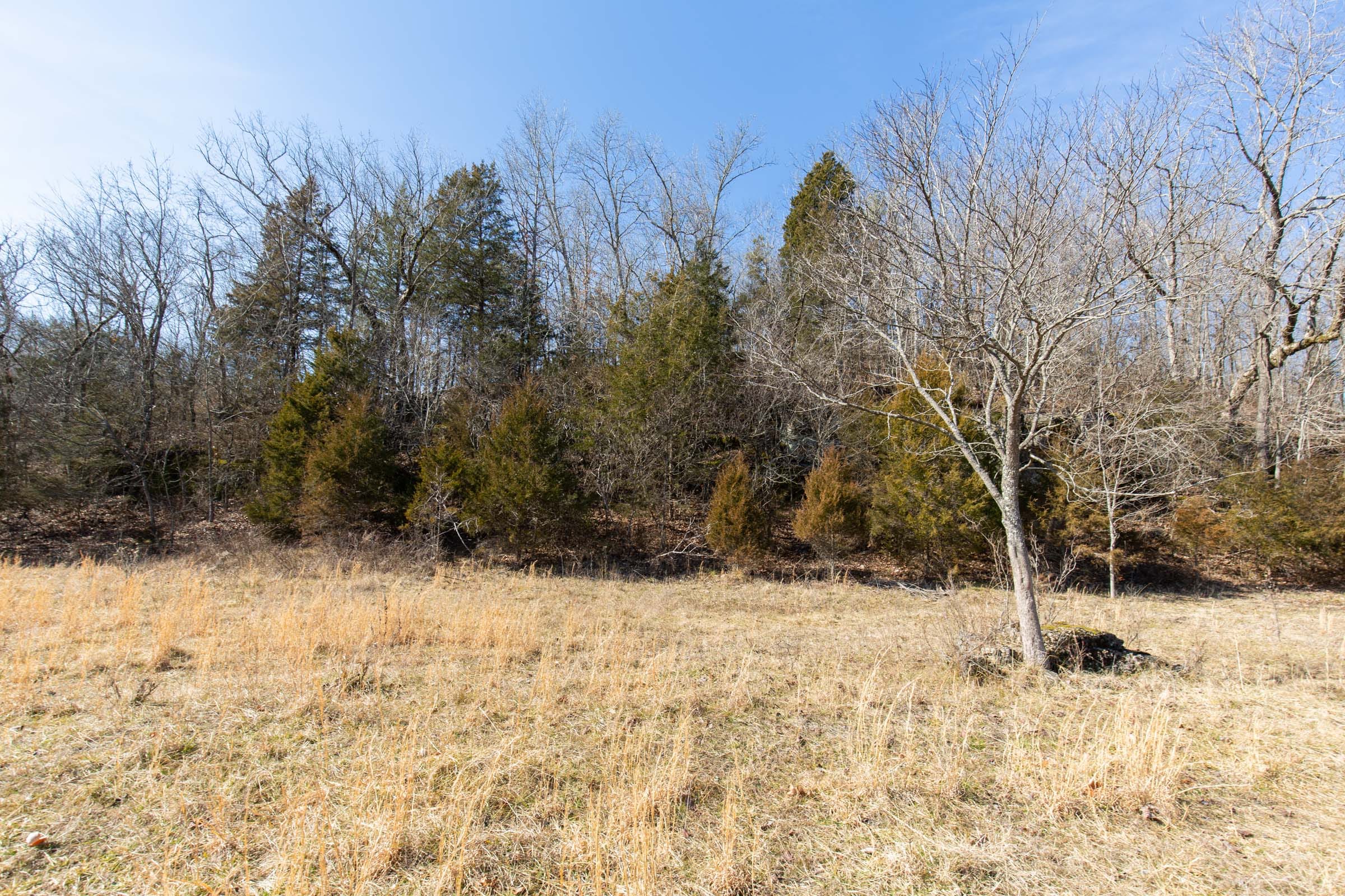O’Connor Crossing Tract 29 photo 7