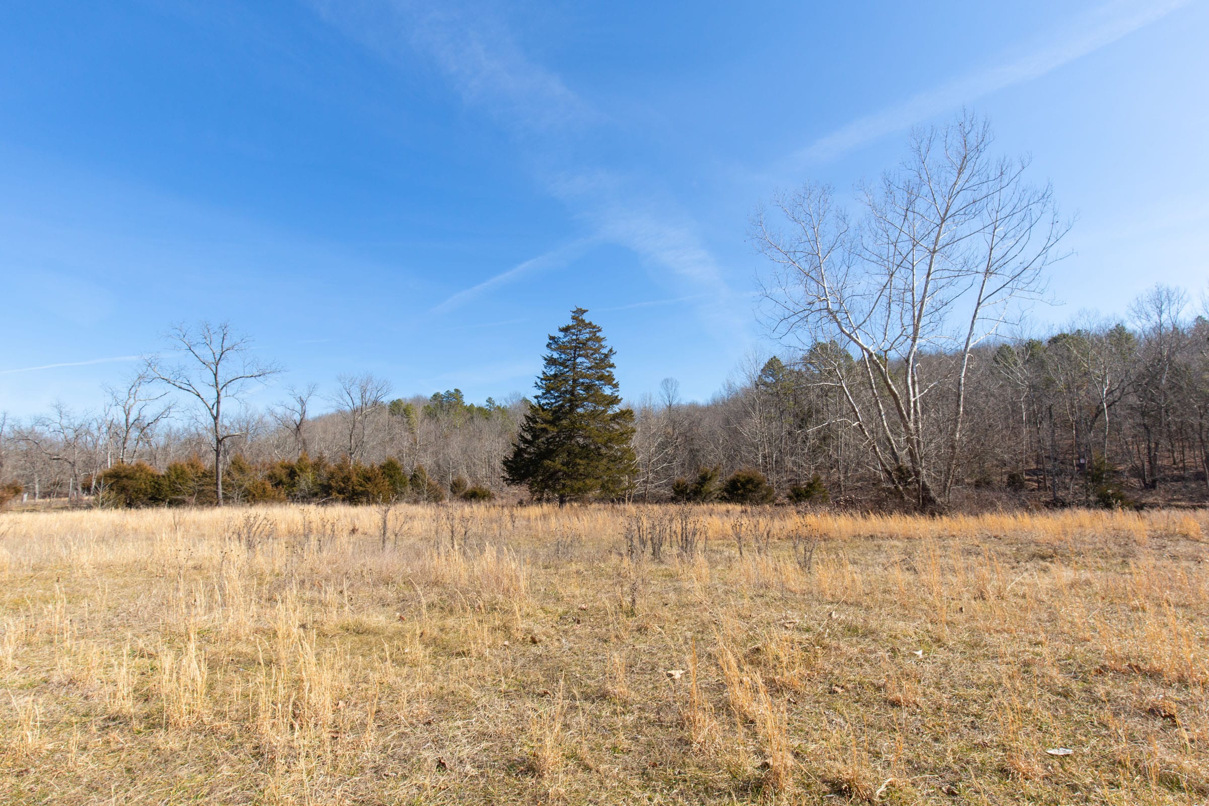 O’Connor Crossing Tract 29 photo 8