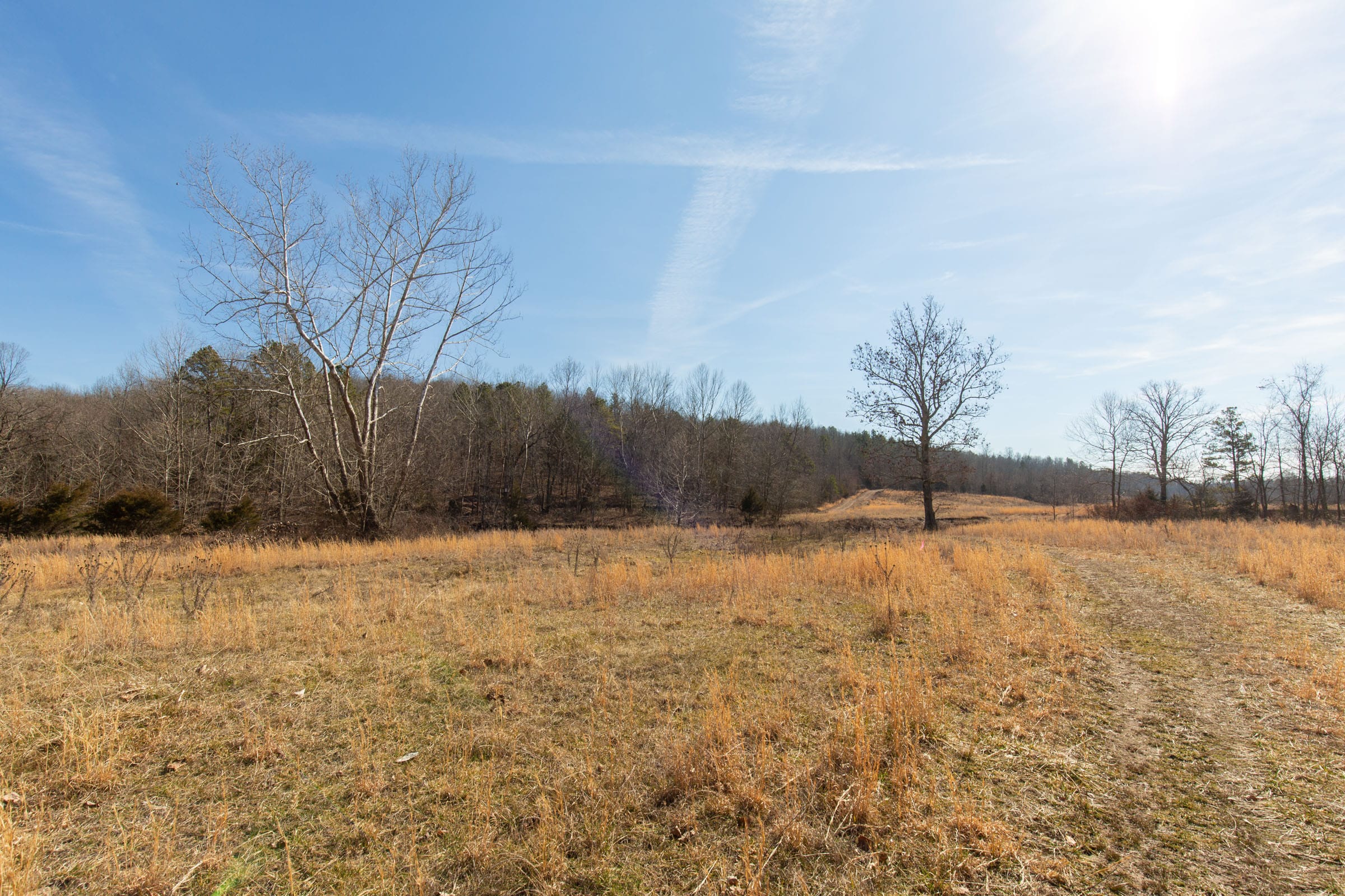 O’Connor Crossing Tract 29 photo 11