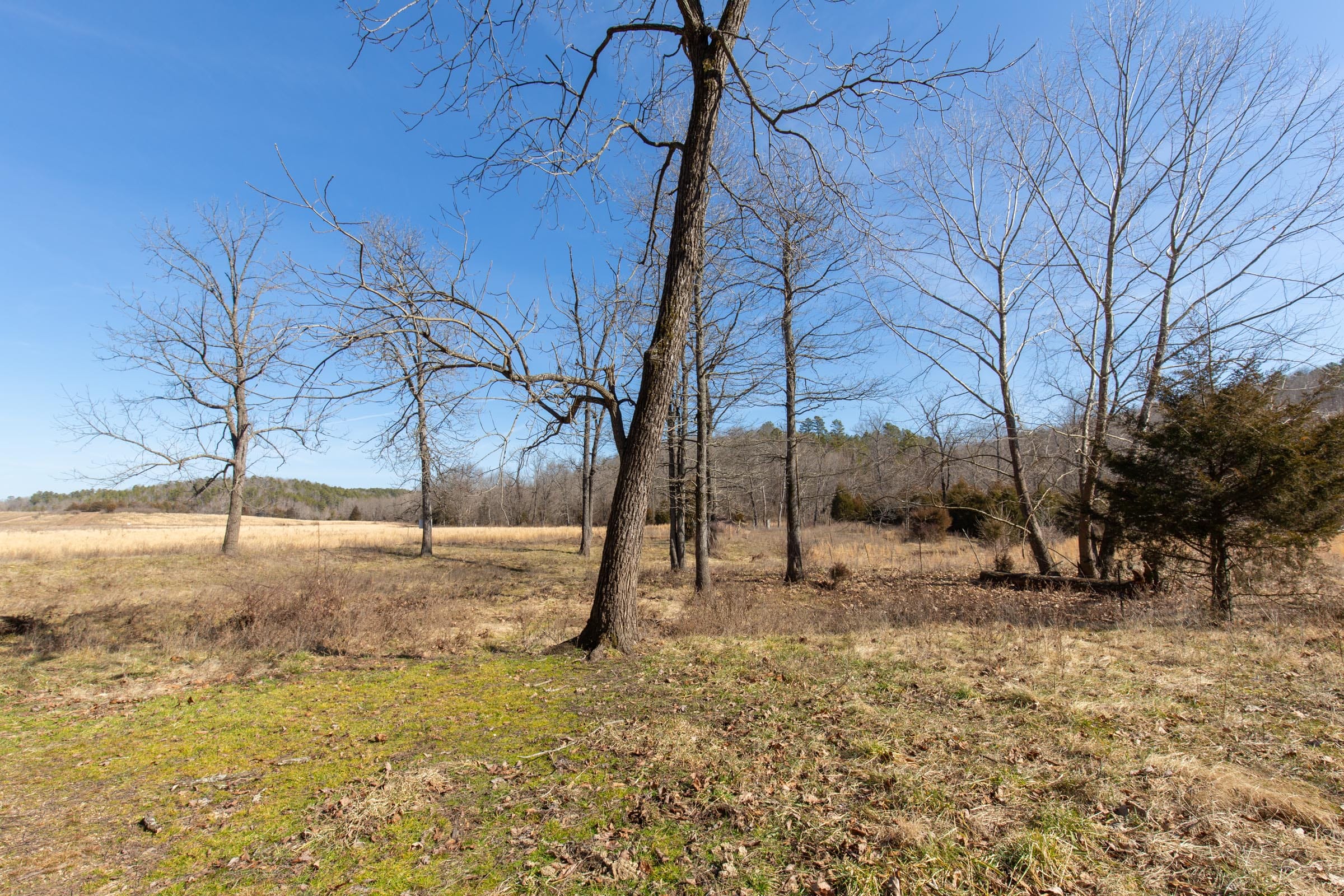 O’Connor Crossing Tract 29 photo 14