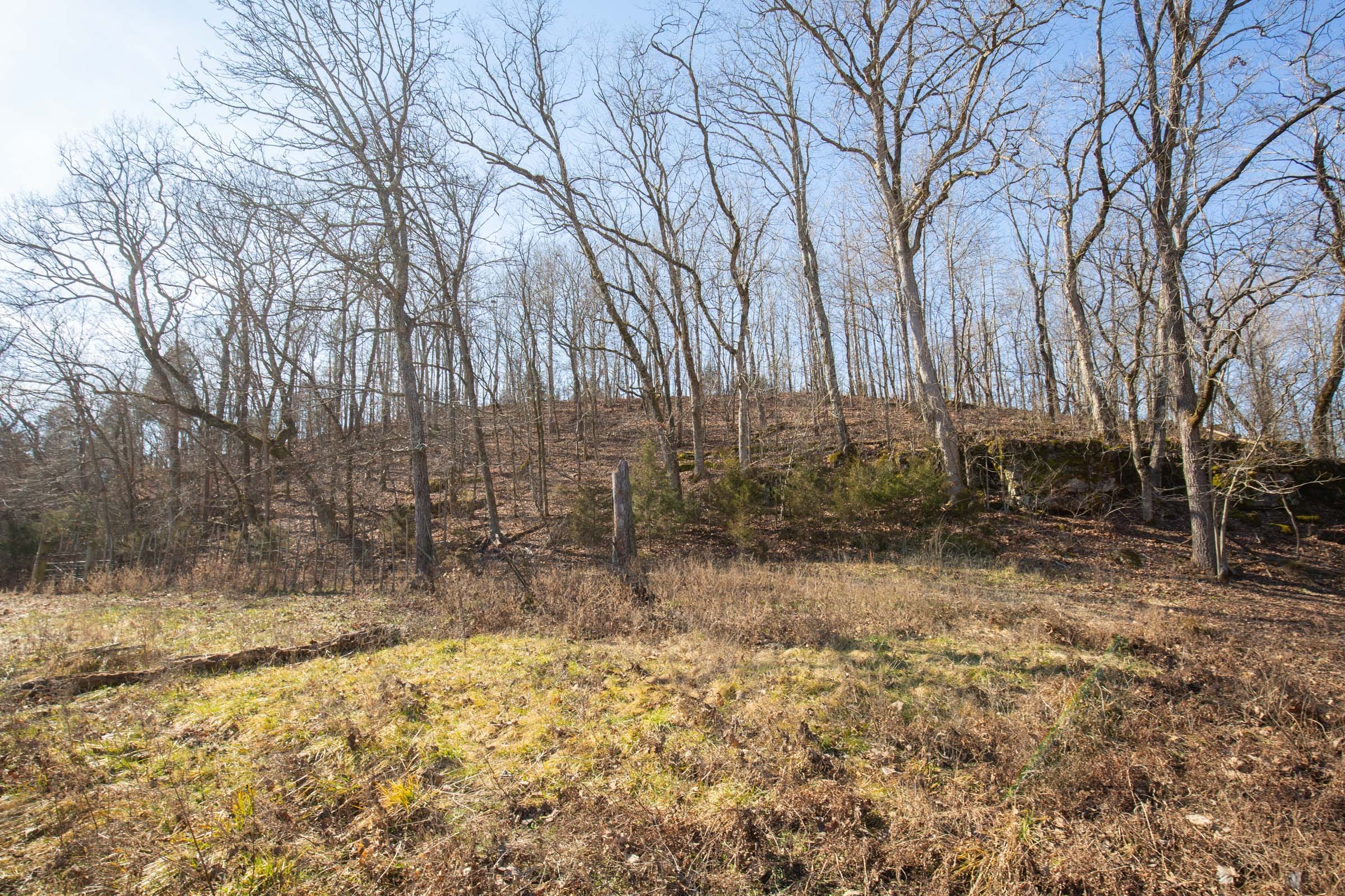 O’Connor Crossing Tract 29 photo 21