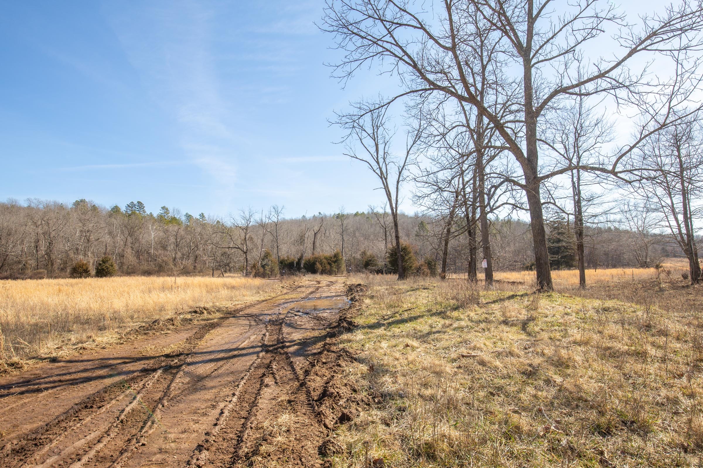 O’Connor Crossing Tract 29 photo 16