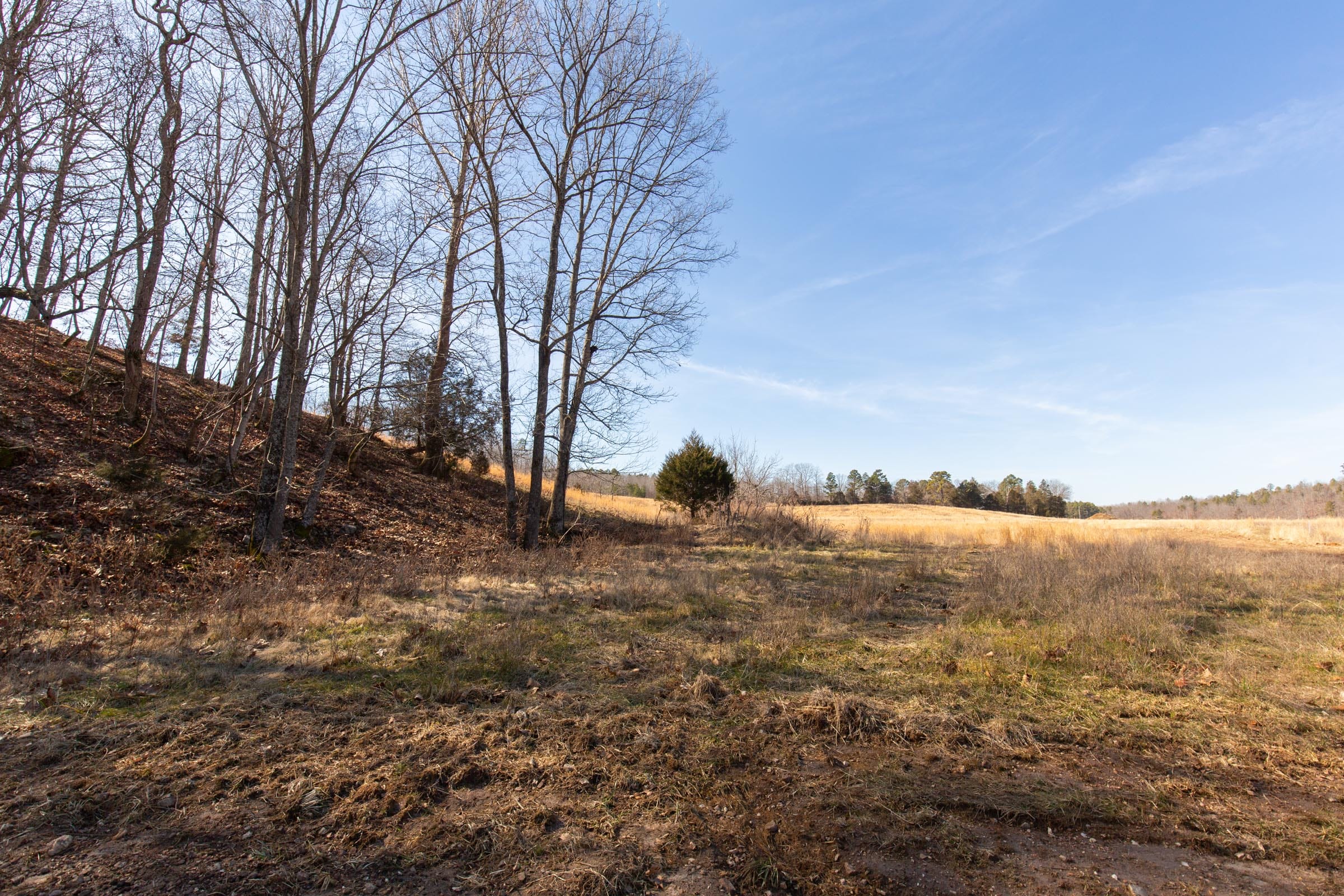 O’Connor Crossing Tract 29 photo 23