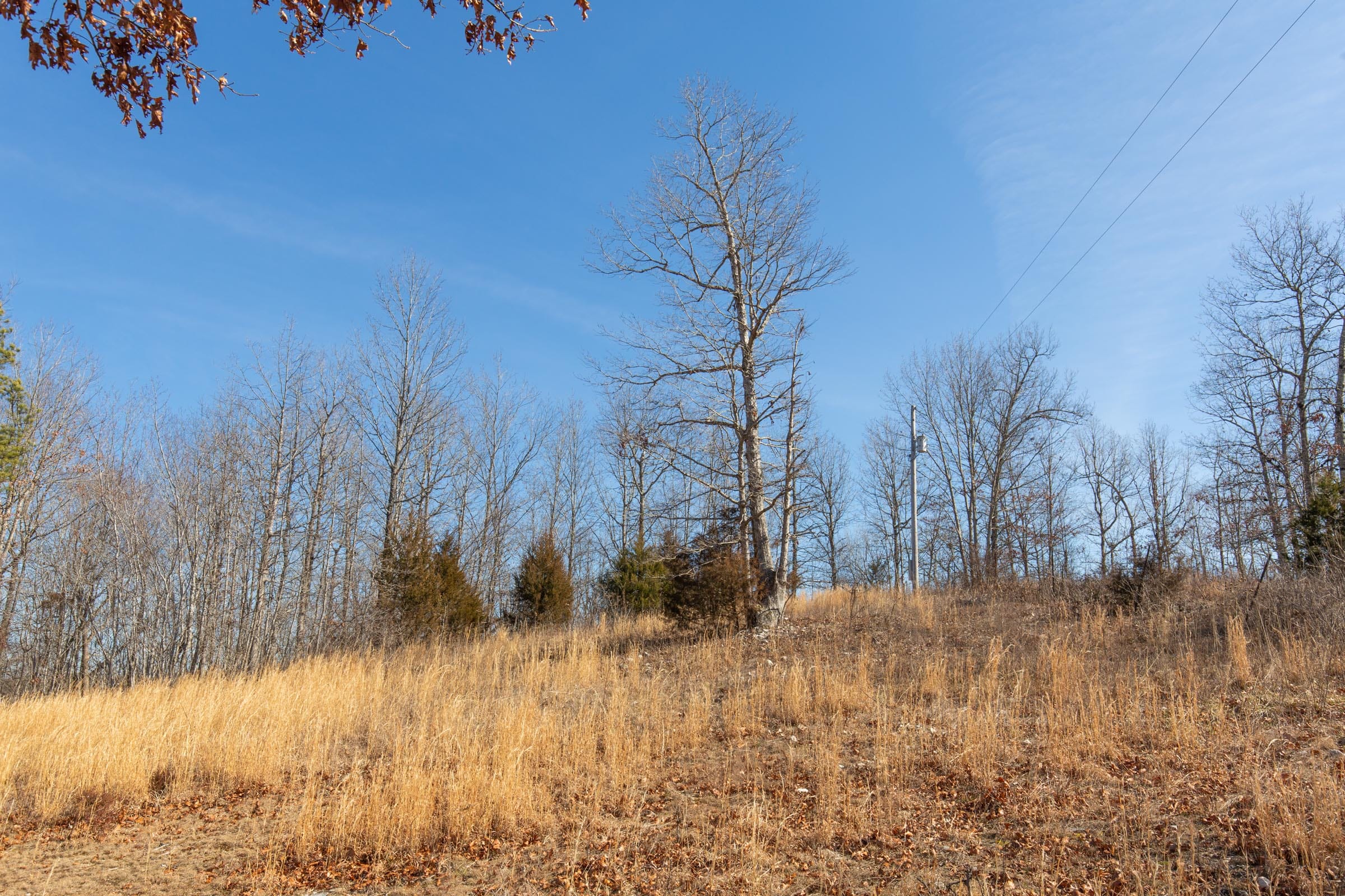 O’Connor Crossing Tract 29 photo 27