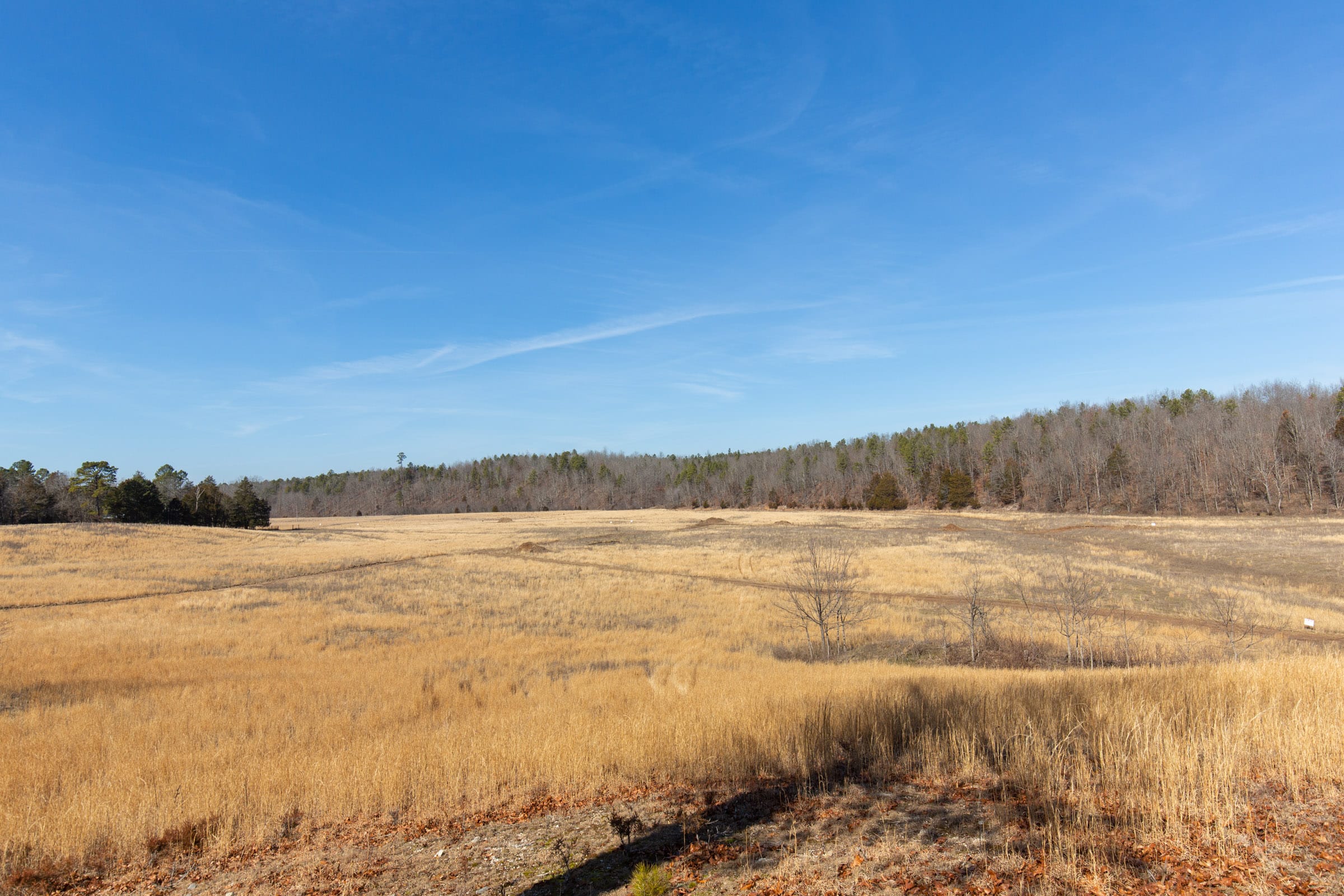 O’Connor Crossing Tract 29 photo 26
