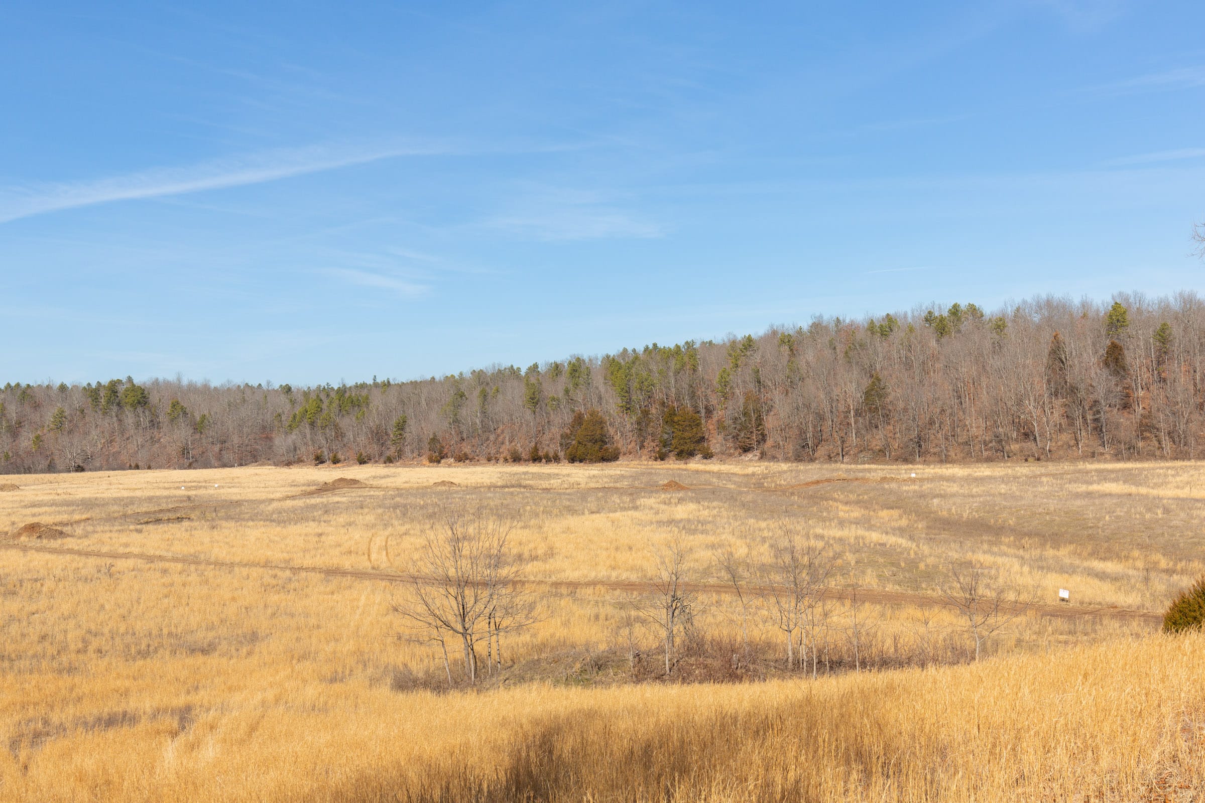O’Connor Crossing Tract 29 photo 28