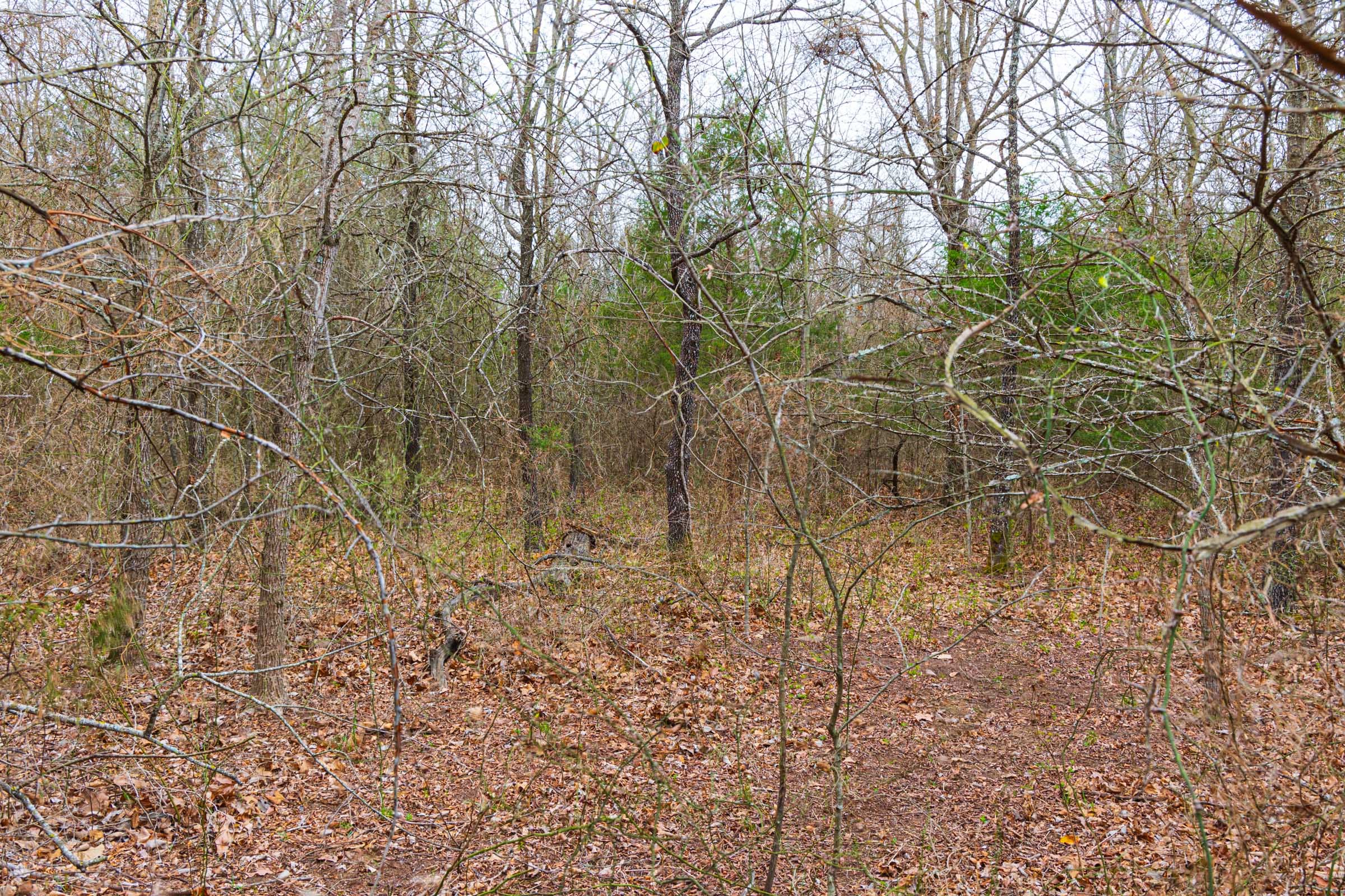 Reserves At Cattail Cove Phase I Tract 12 photo 9