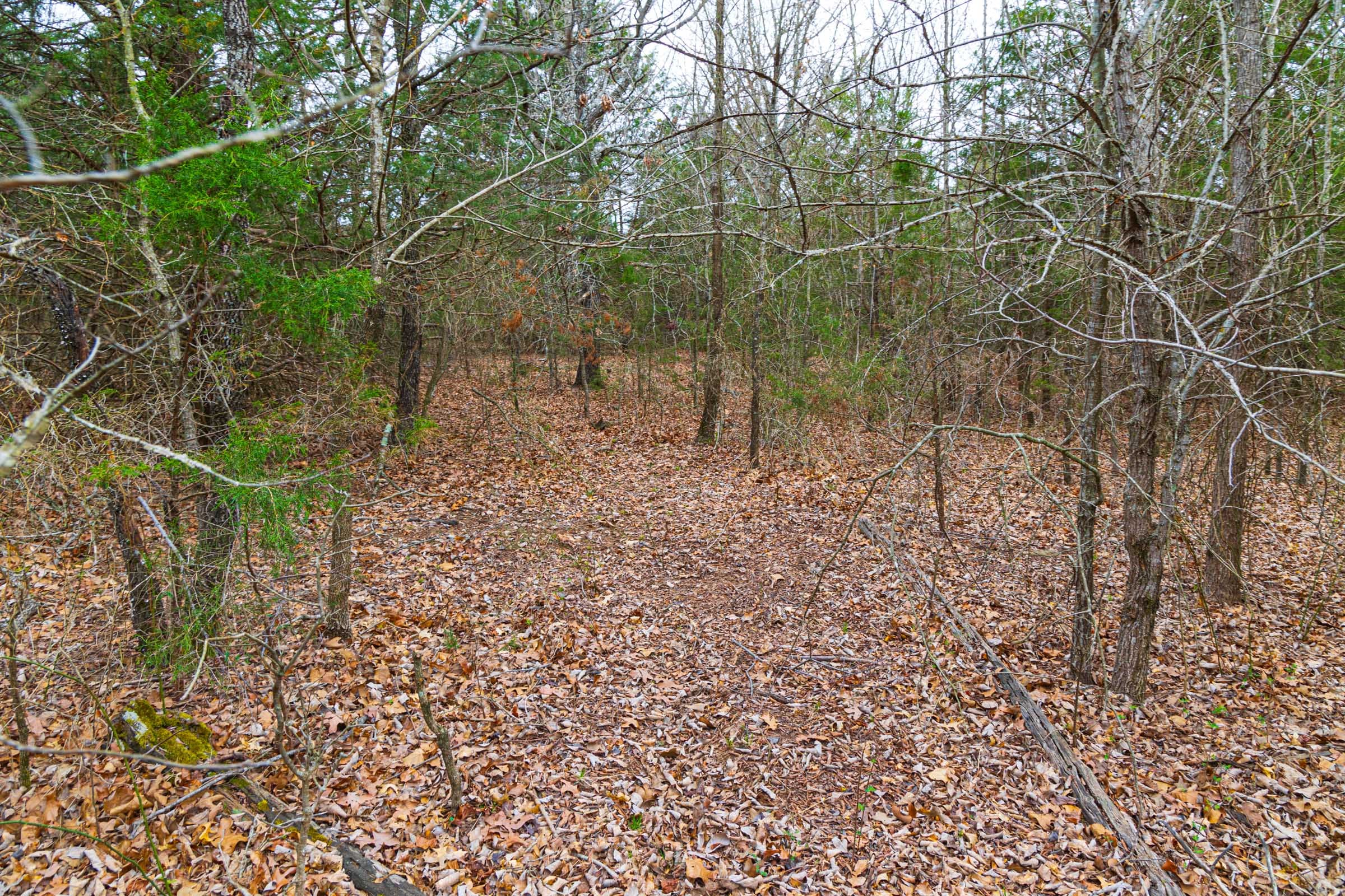 Reserves At Cattail Cove Phase I Tract 12 photo 22