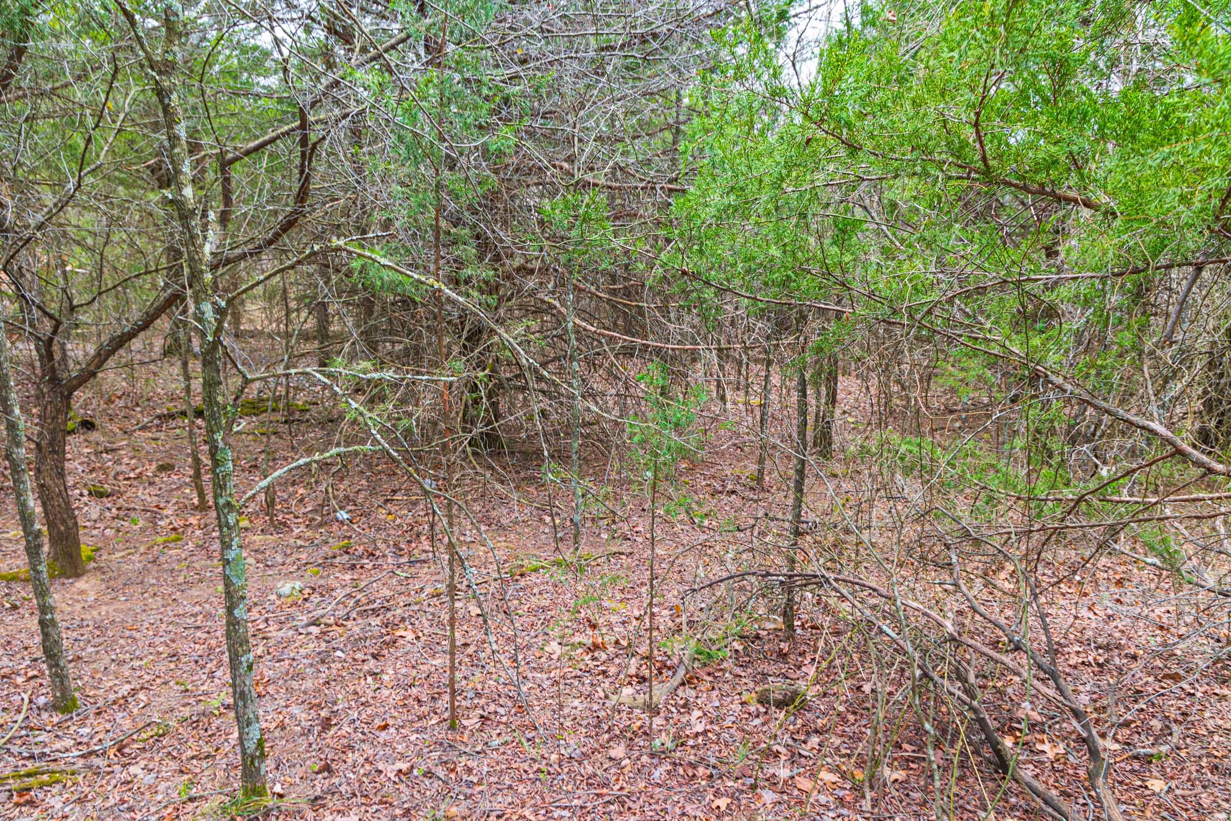 Reserves At Cattail Cove Phase I Tract 12 photo 13