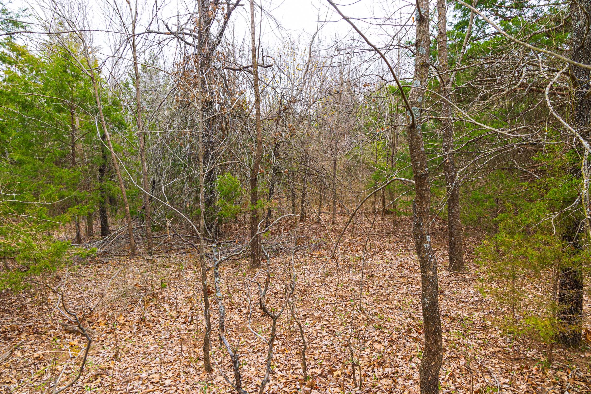 Reserves At Cattail Cove Phase I Tract 12 photo 18