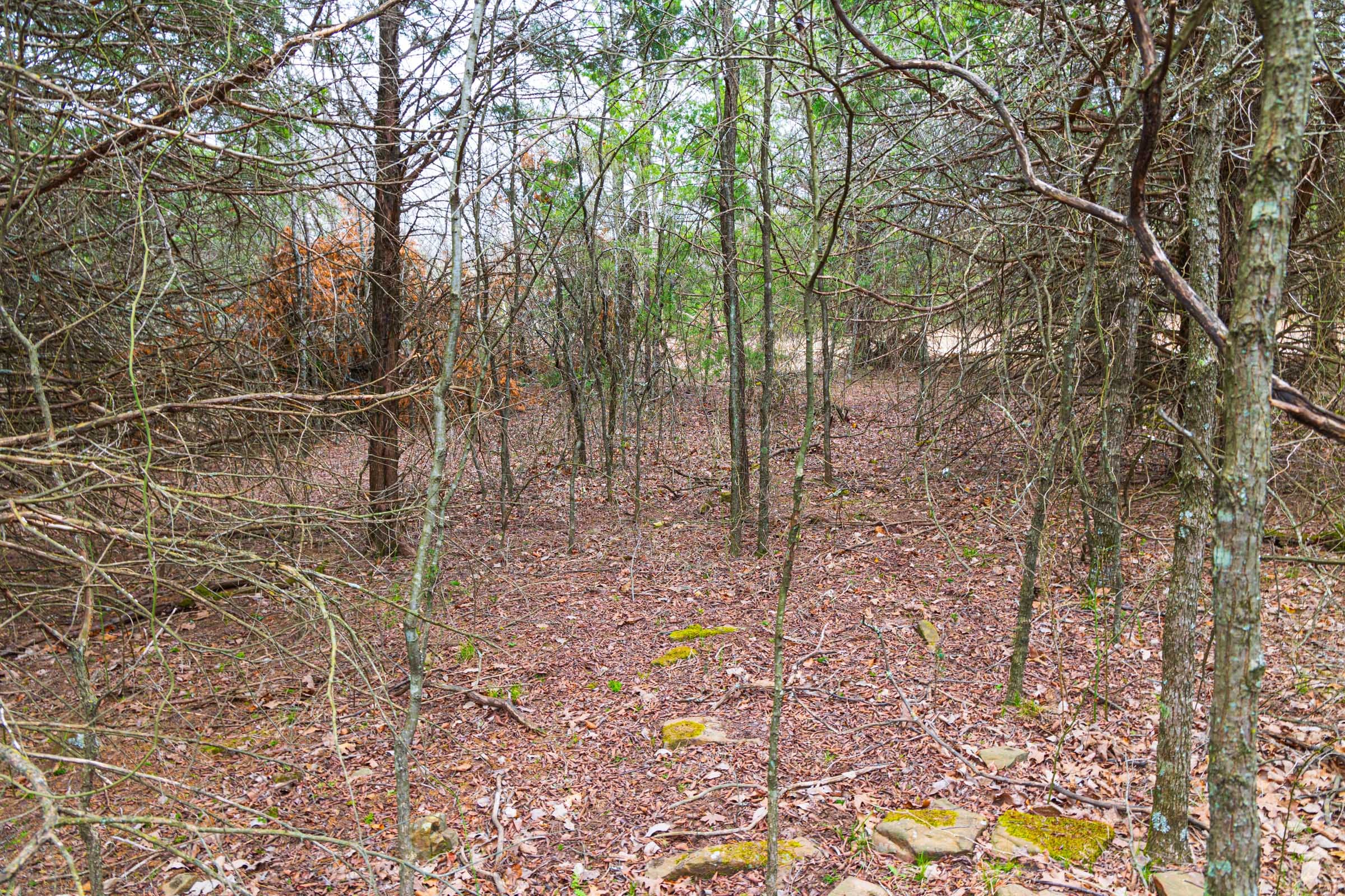 Reserves At Cattail Cove Phase I Tract 12 photo 17