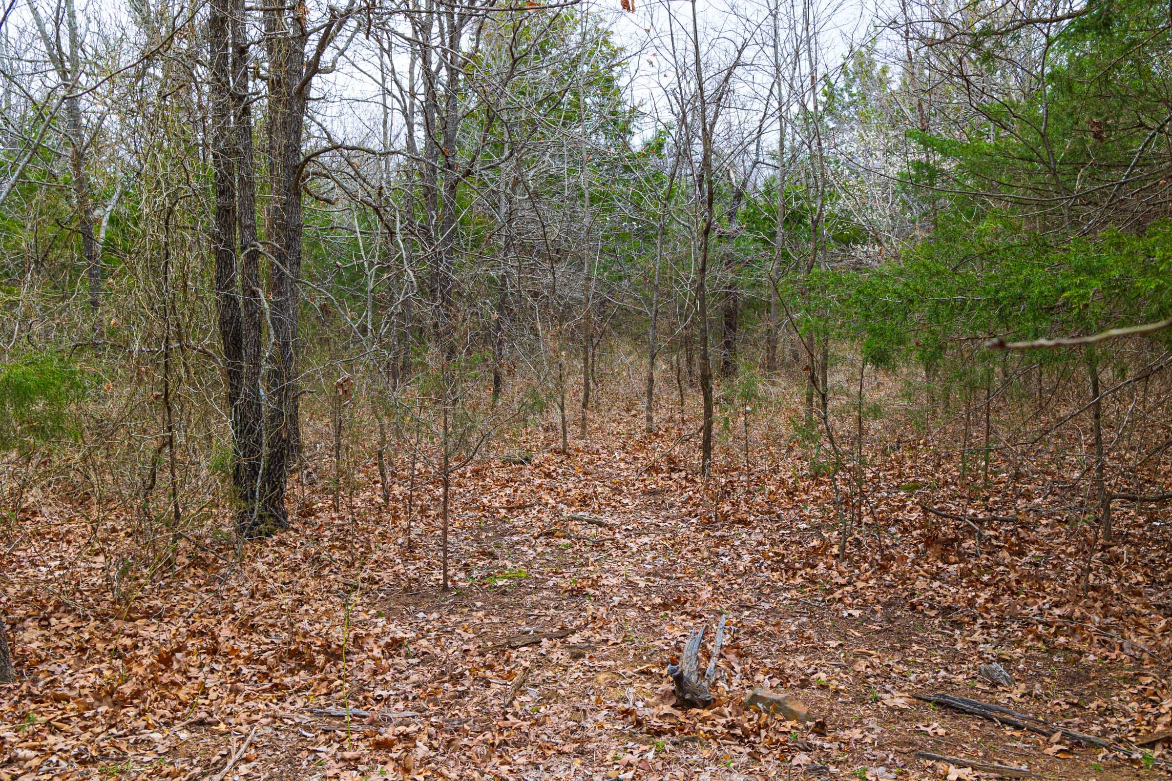 Reserves At Cattail Cove Phase I Tract 12 photo 15
