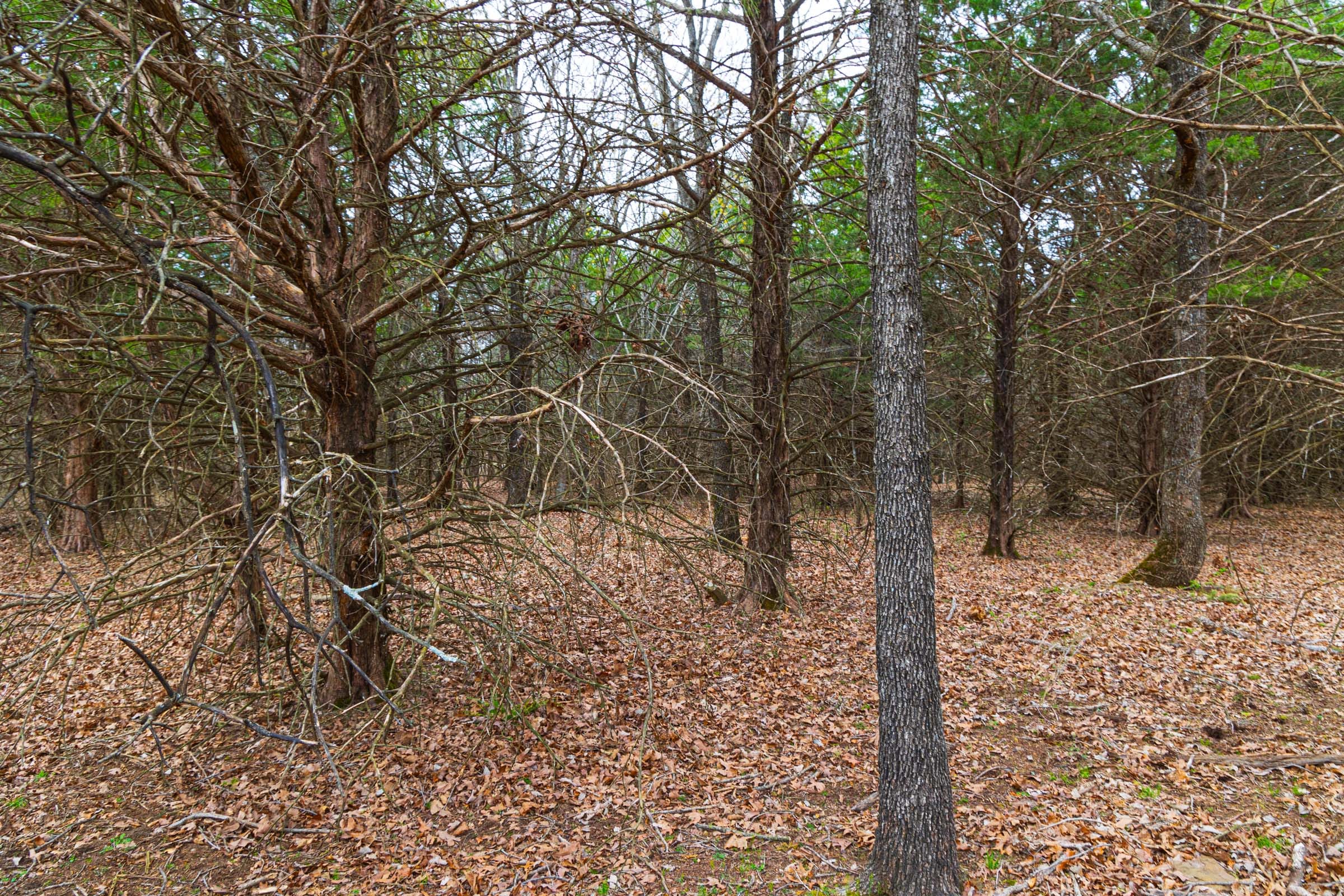 Reserves At Cattail Cove Phase I Tract 12 photo 14