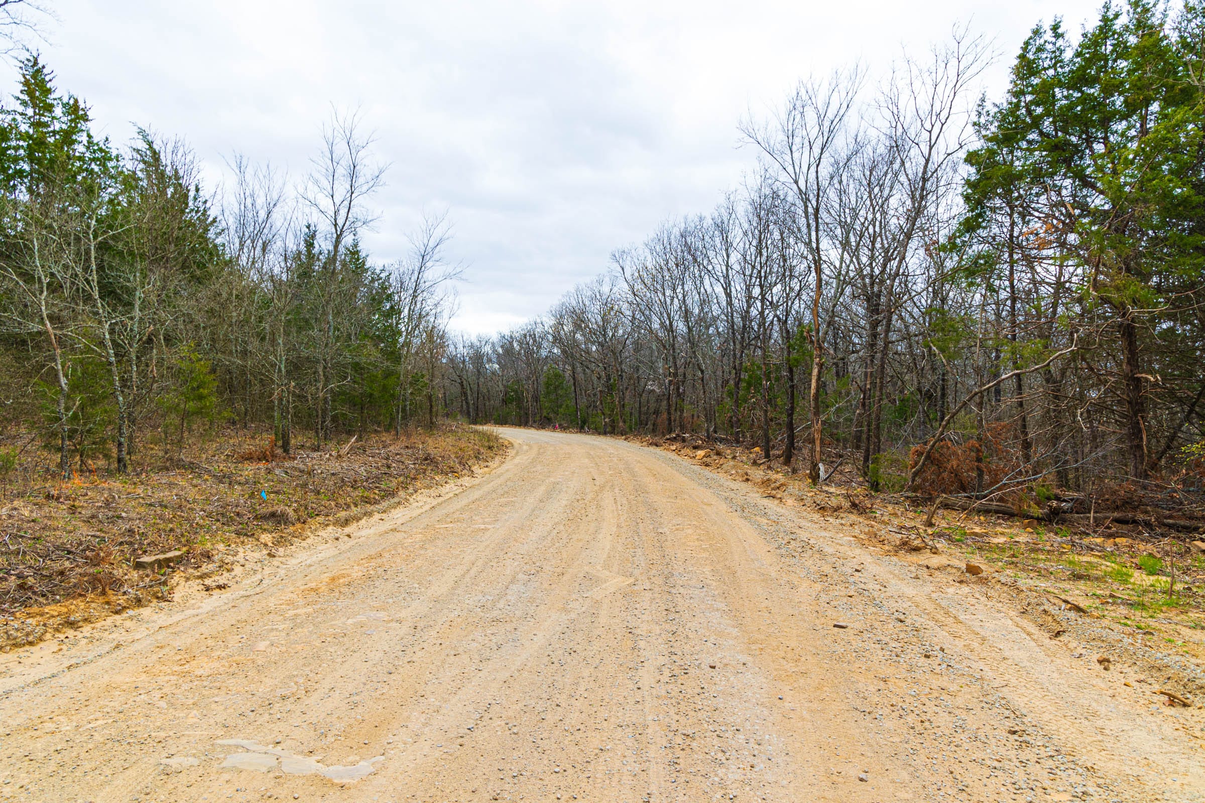 Reserves At Cattail Cove Phase I Tract 12 photo 8