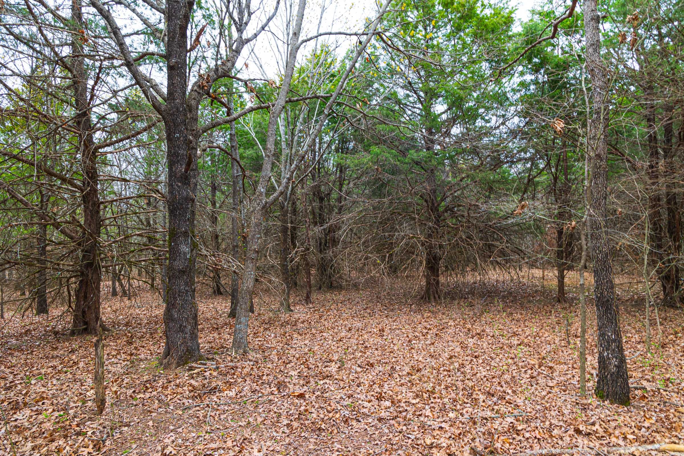 Reserves At Cattail Cove Phase I Tract 12 photo 7