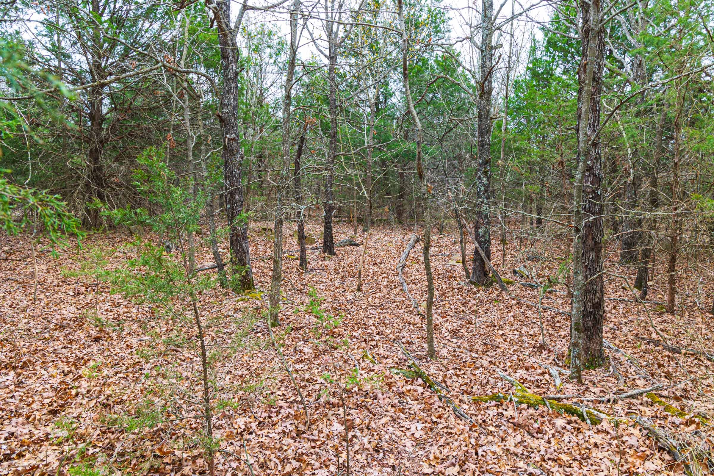 Reserves At Cattail Cove Phase I Tract 12 photo 6