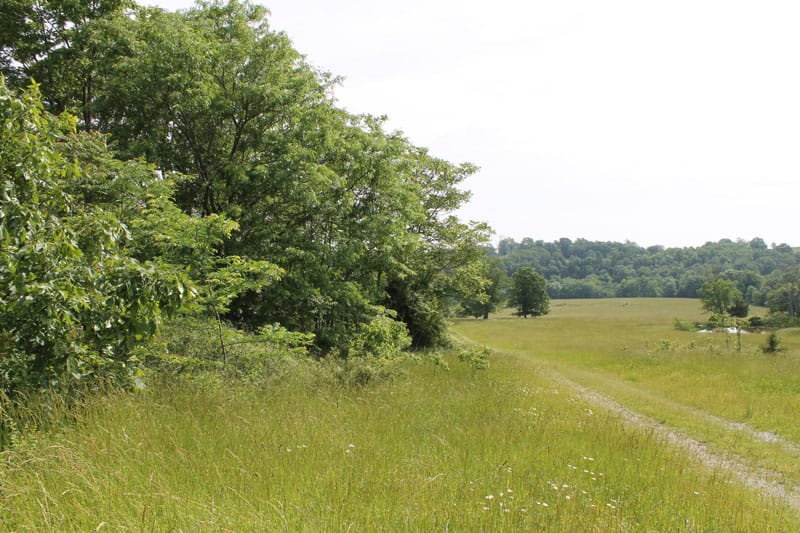 Cedar Ridge Ranch Tract 38 photo 2