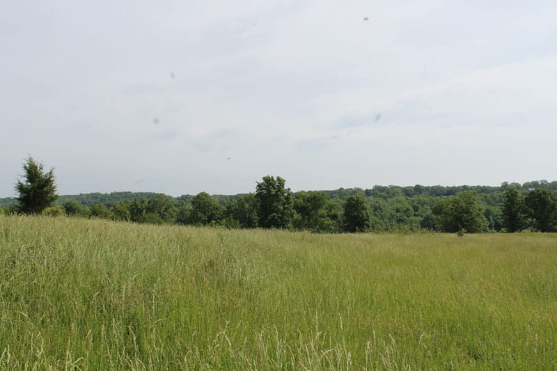 Cedar Ridge Ranch Tract 38 photo 5