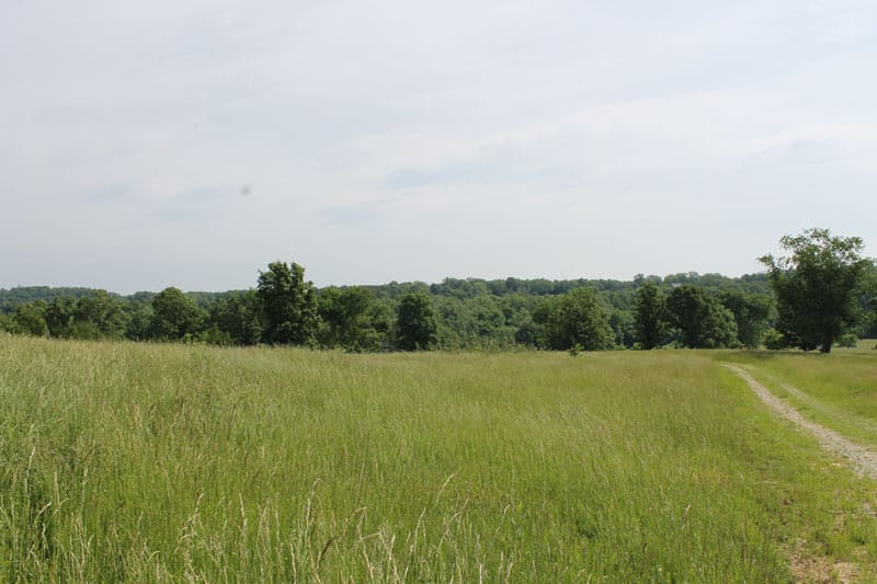 Cedar Ridge Ranch Tract 38 photo 6