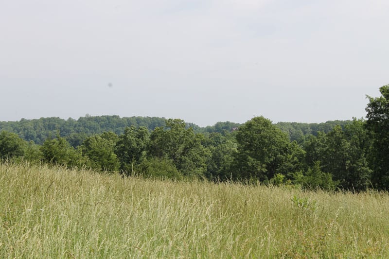 Cedar Ridge Ranch Tract 38 photo 7
