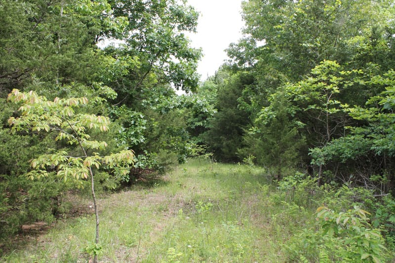 Cedar Ridge Ranch Tract 34 photo 1