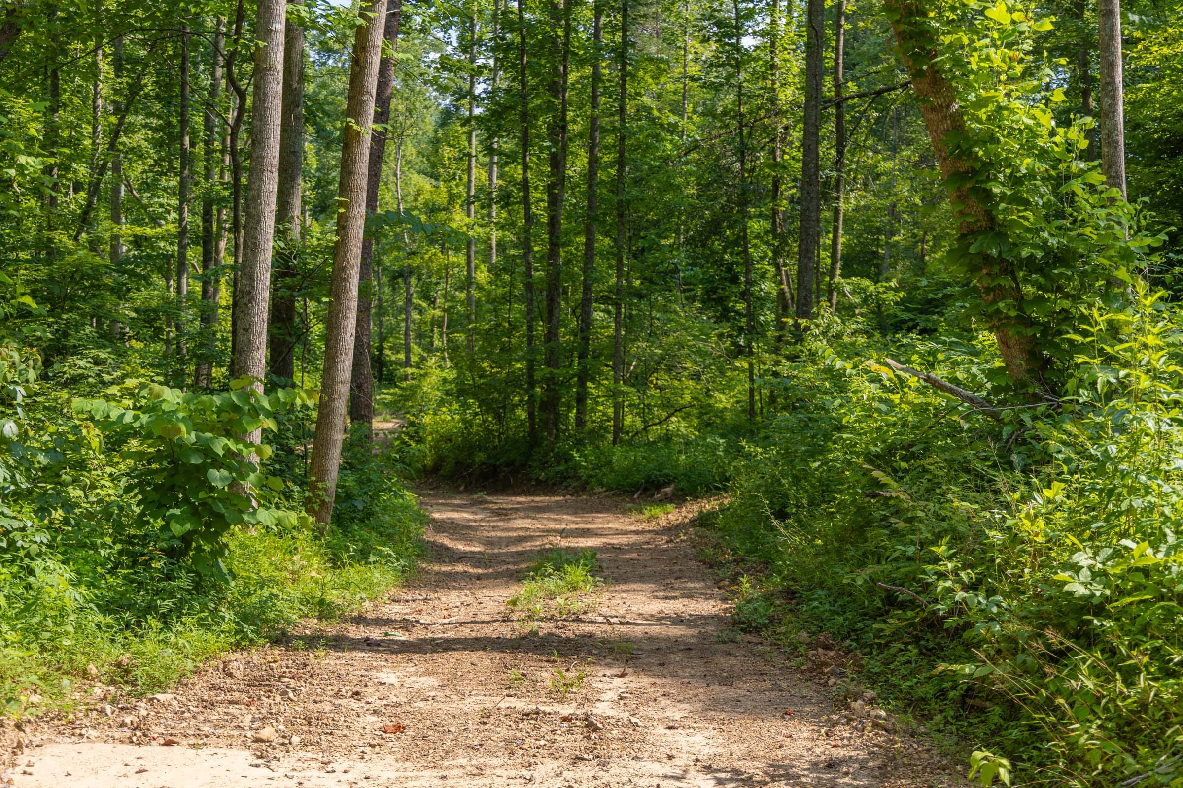 Creek Hollow Phase II Tract 67 photo 3
