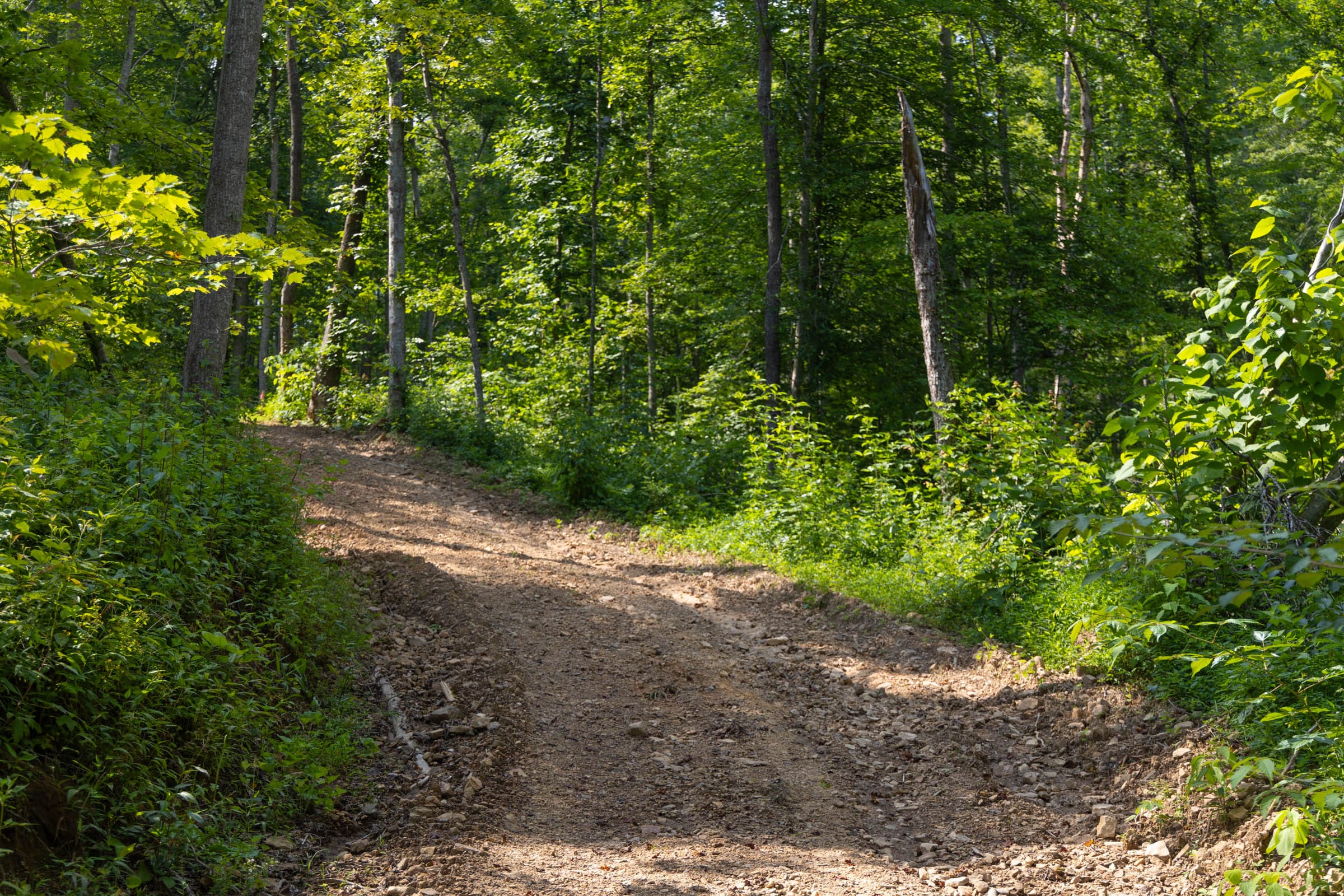 Creek Hollow Phase II Tract 67 photo 1