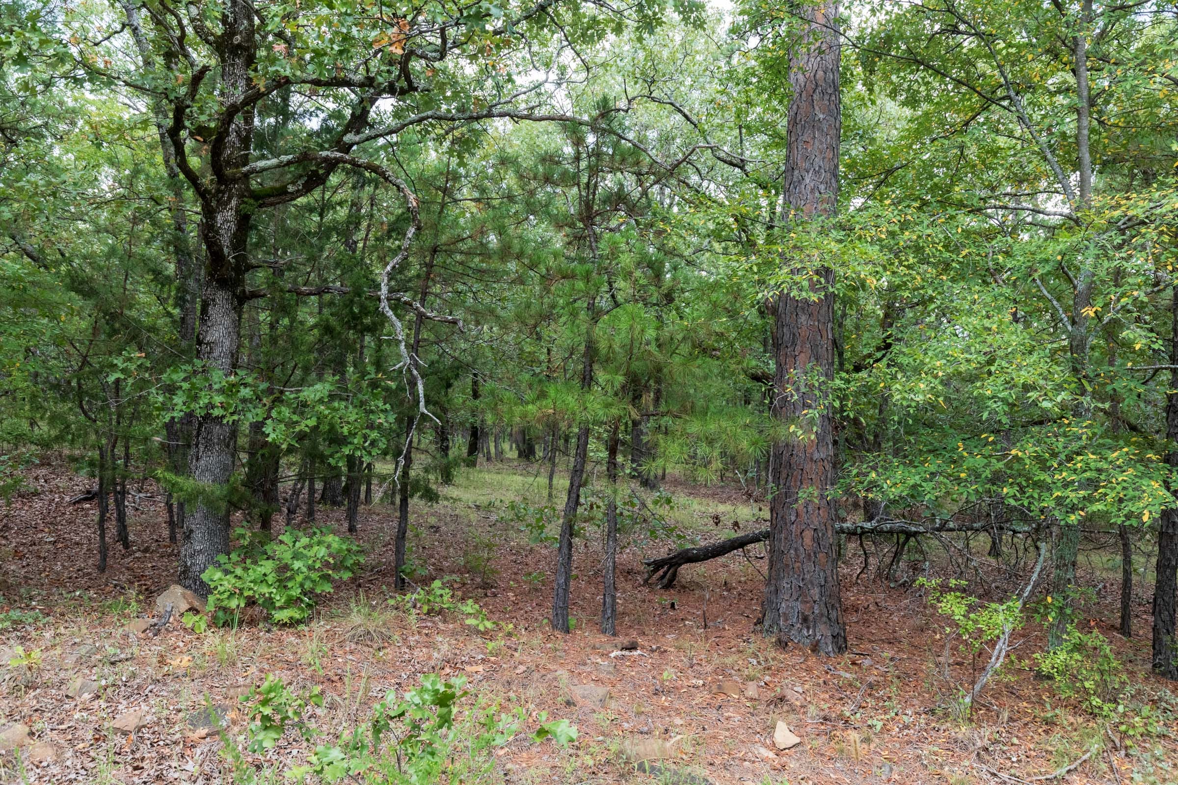 Stone Bridge Phase V Tract 355 photo 5