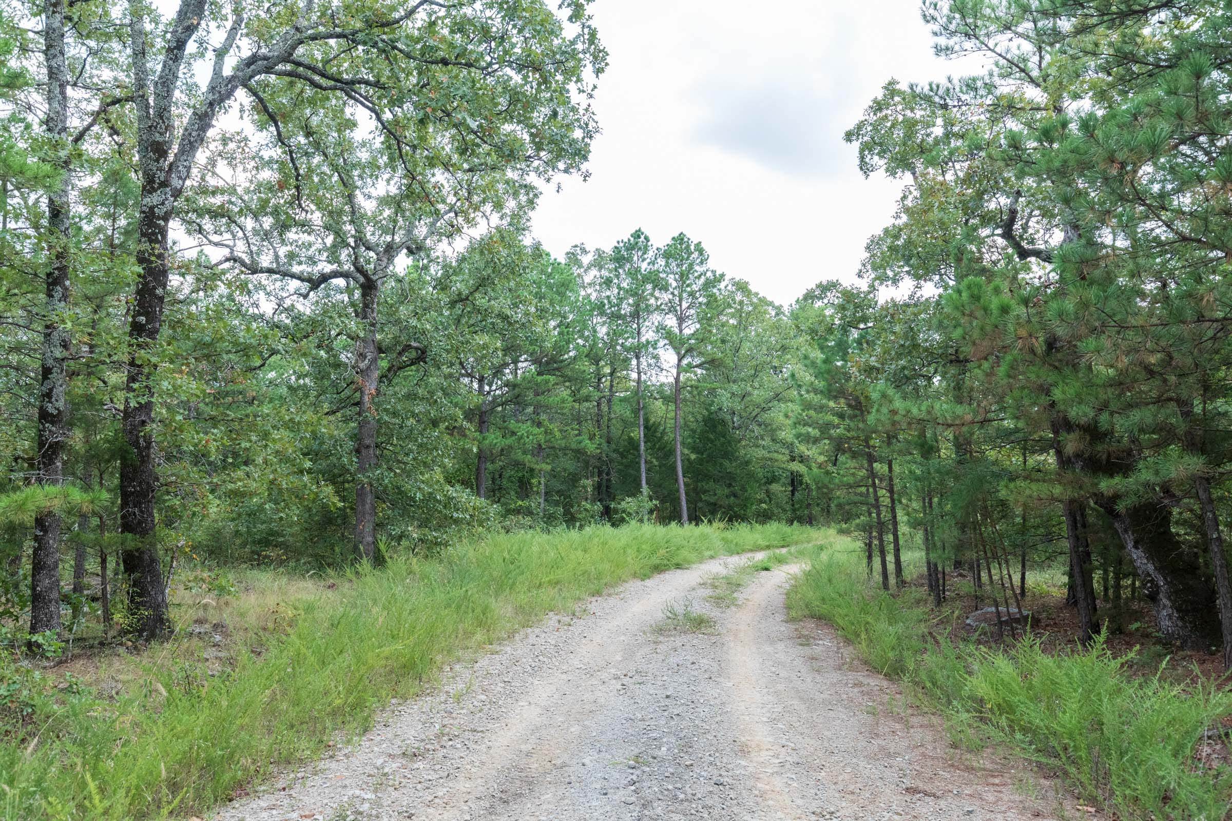 Stone Bridge Phase V Tract 355 photo 1