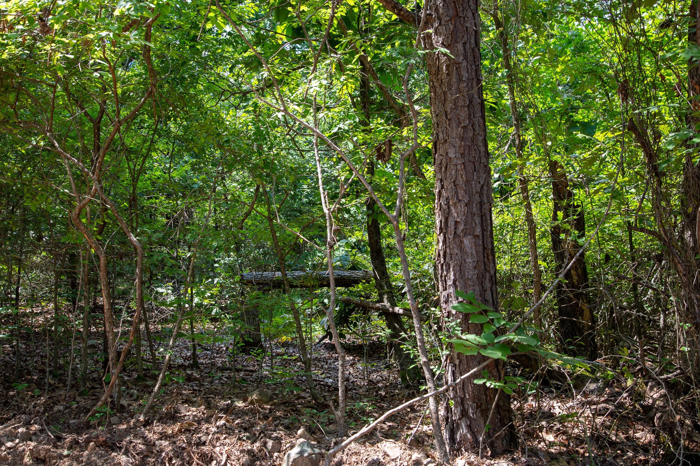 Tyler Stone Ranch Tract 65 photo 3