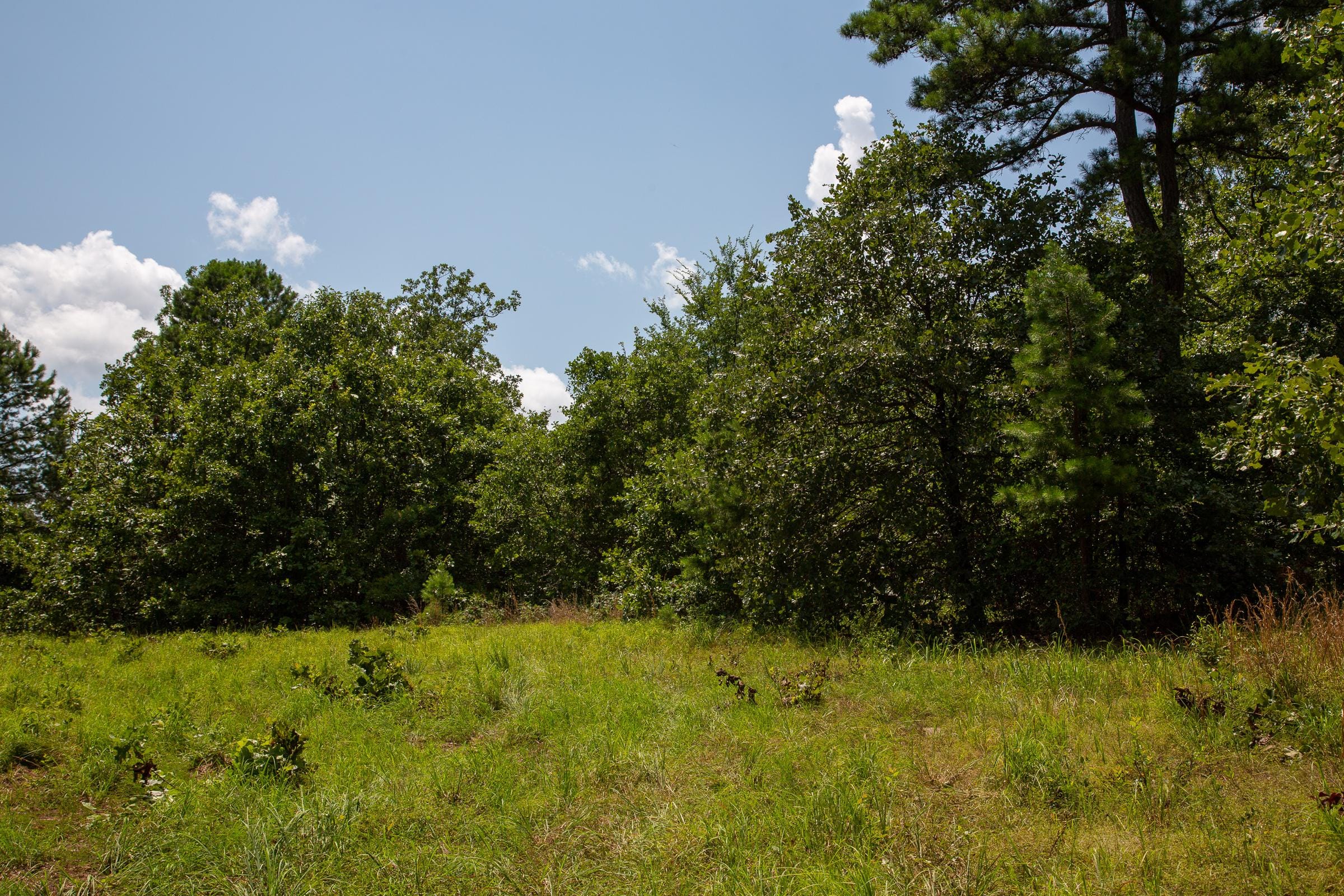 Tyler Stone Ranch Tract 65 photo 1